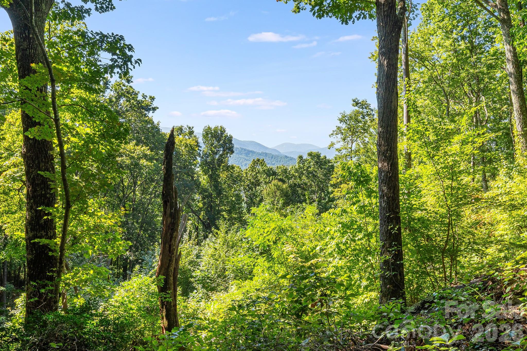 107 Copperhead Cove Property Photo 6