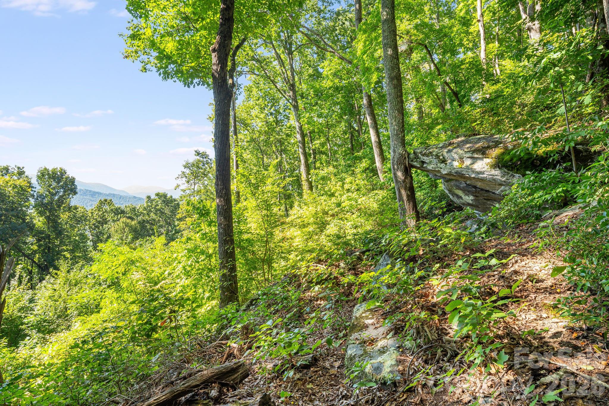 107 Copperhead Cove Property Photo 7