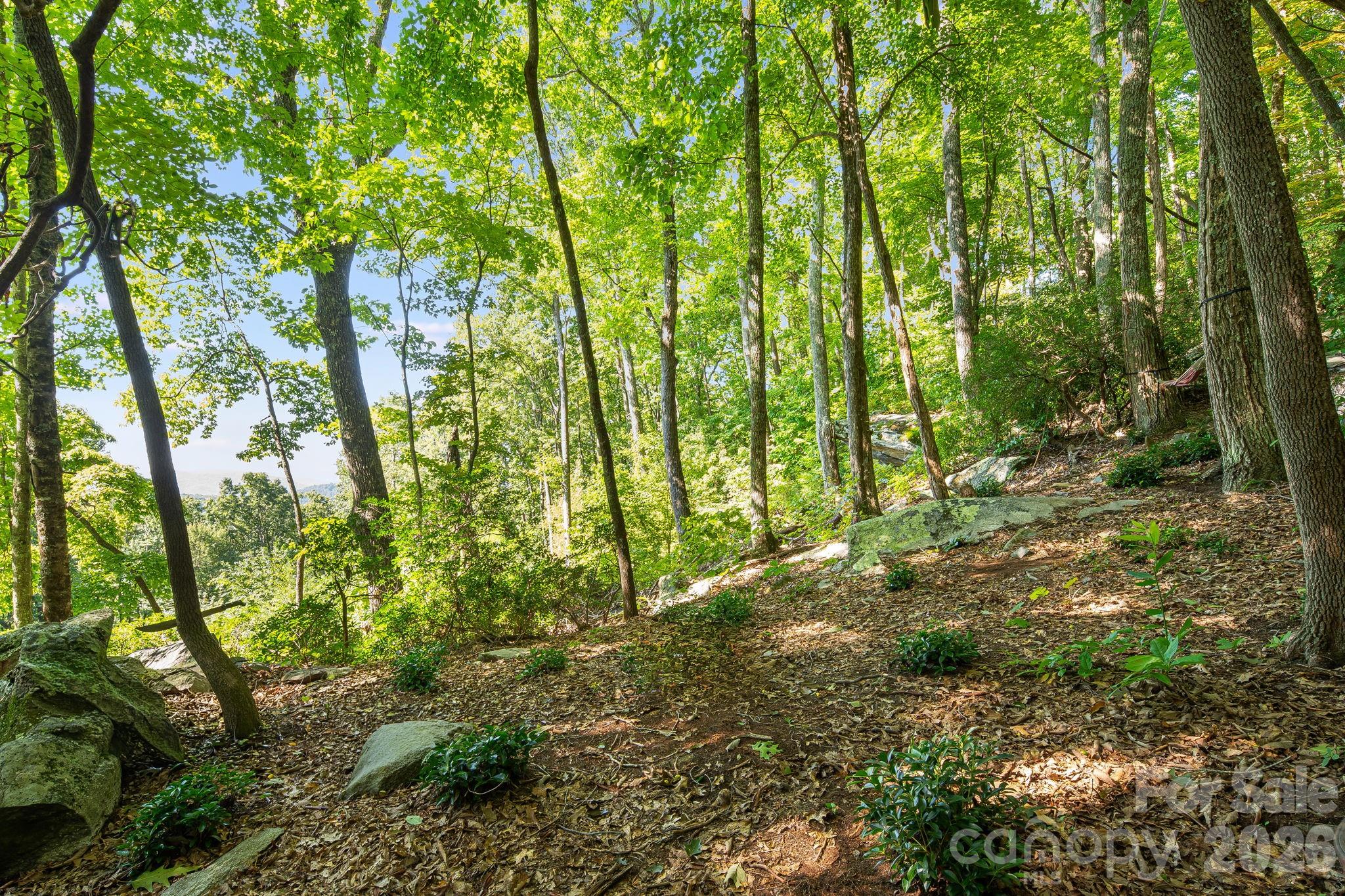 107 Copperhead Cove Property Photo 8
