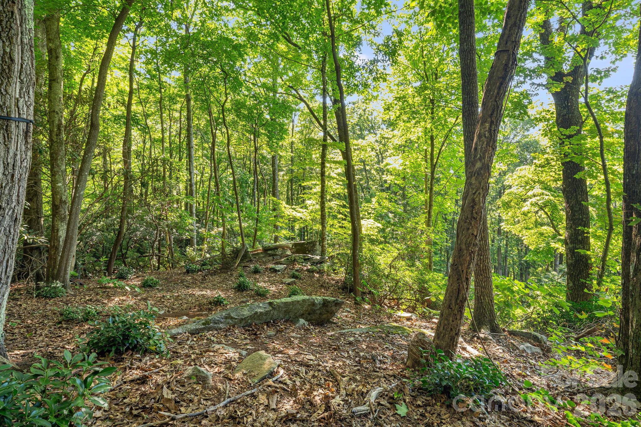 107 Copperhead Cove Property Photo 9