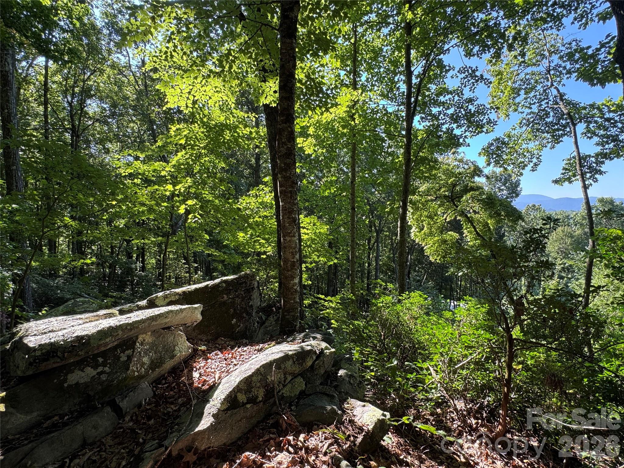 107 Copperhead Cove Property Photo 10