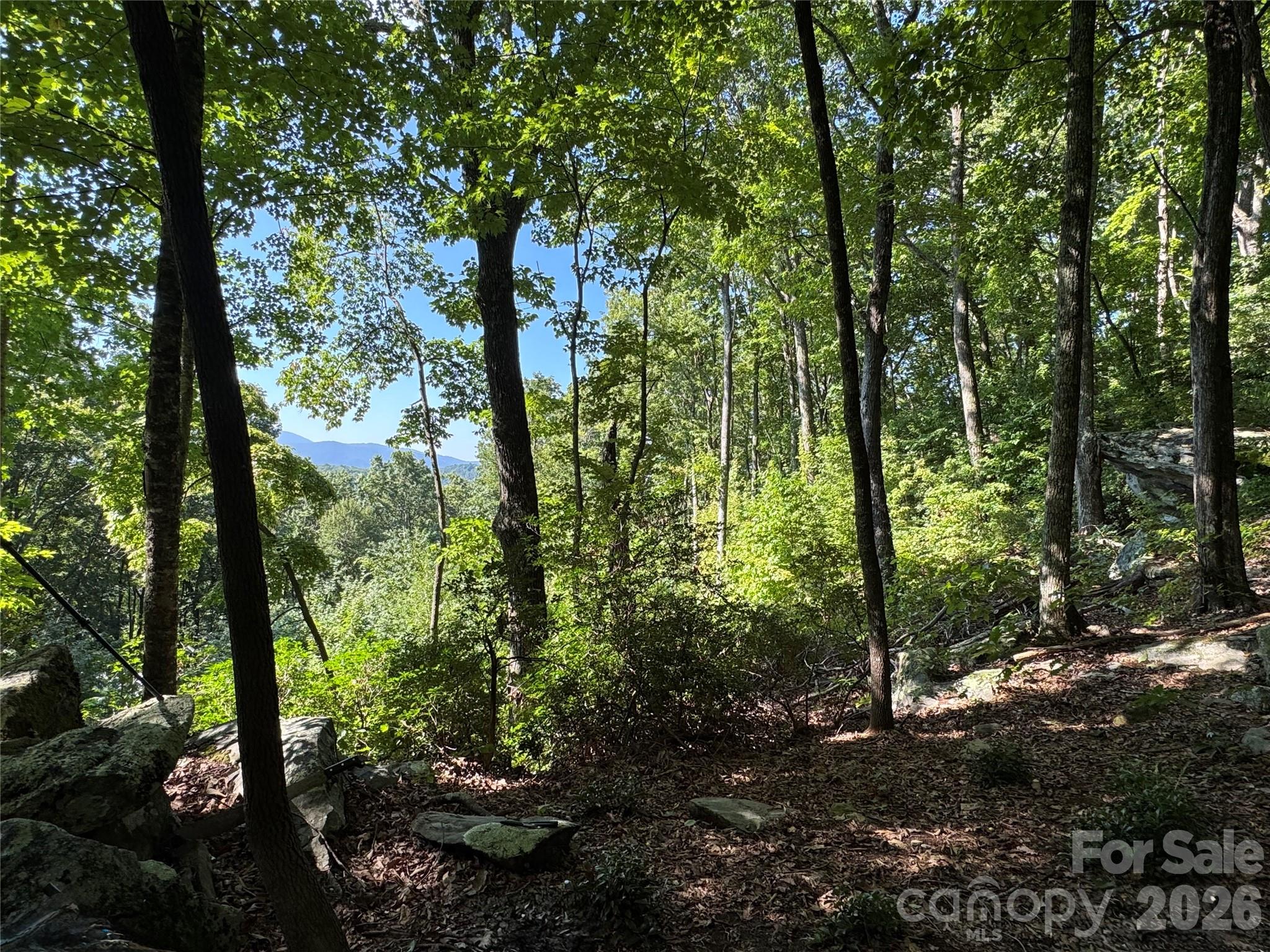 107 Copperhead Cove Property Photo 12