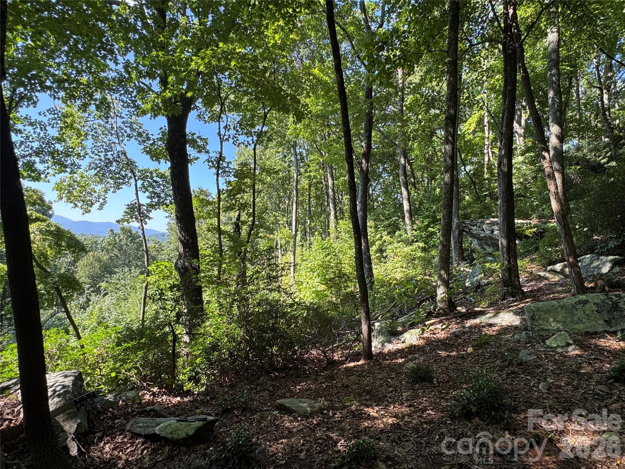 107 Copperhead Cove Property Photo 13