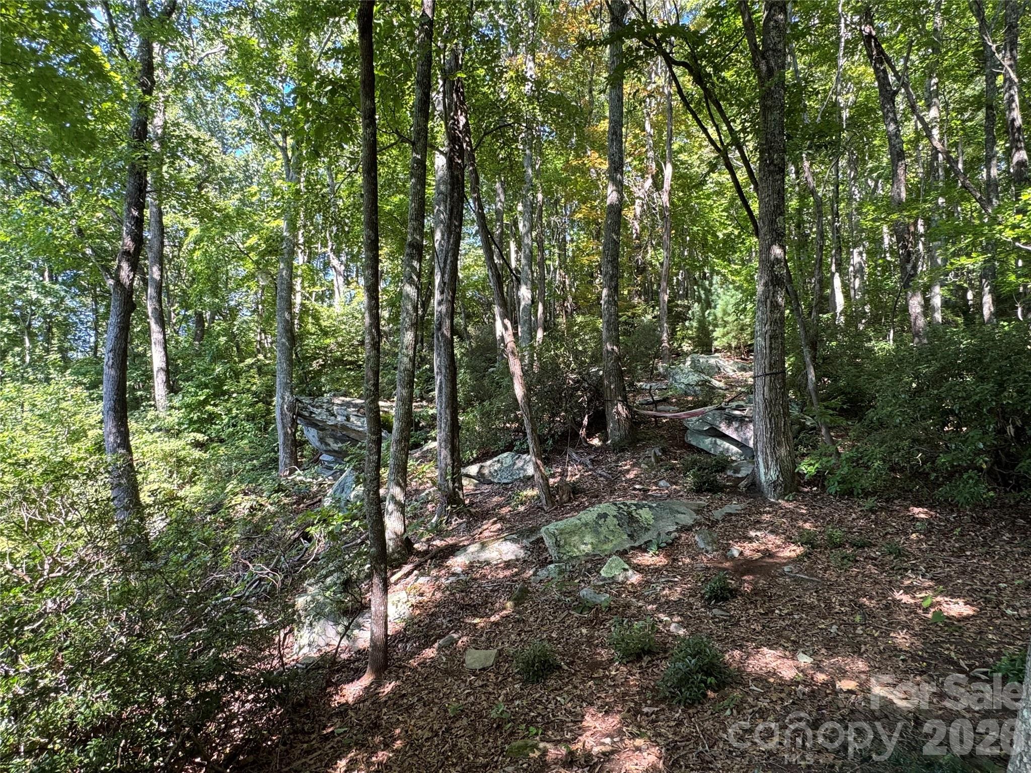 107 Copperhead Cove Property Photo 15