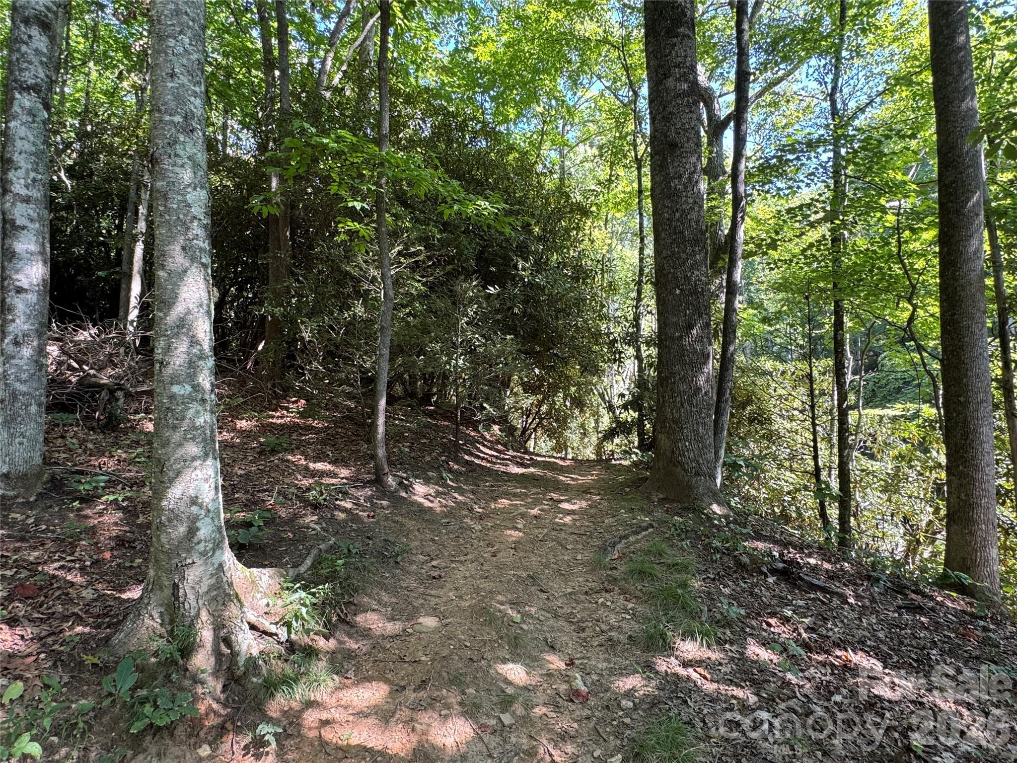107 Copperhead Cove Property Photo 17