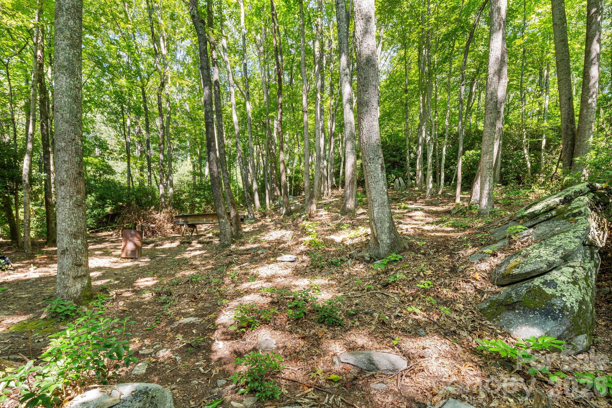 107 Copperhead Cove Property Photo 21