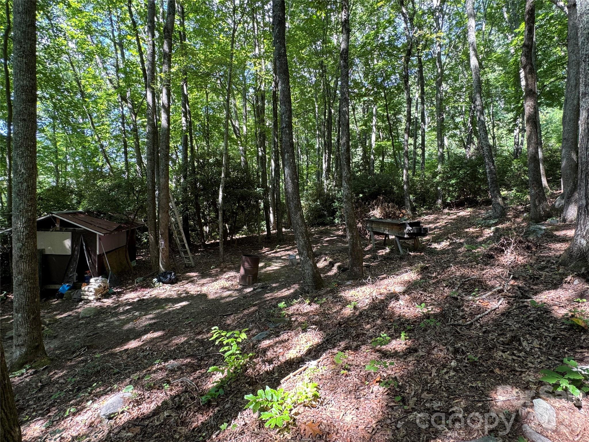 107 Copperhead Cove Property Photo 24