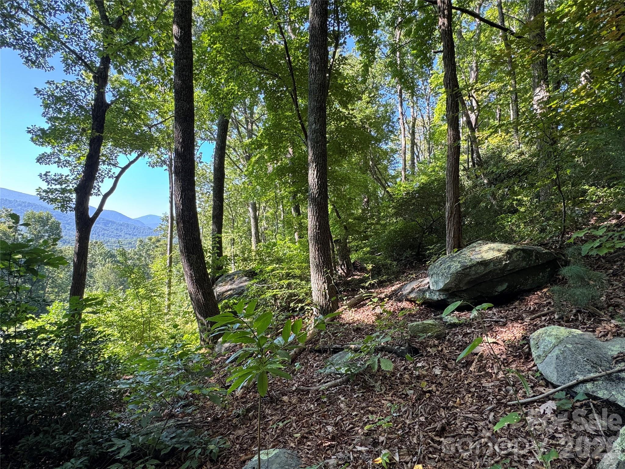 107 Copperhead Cove Property Photo 25