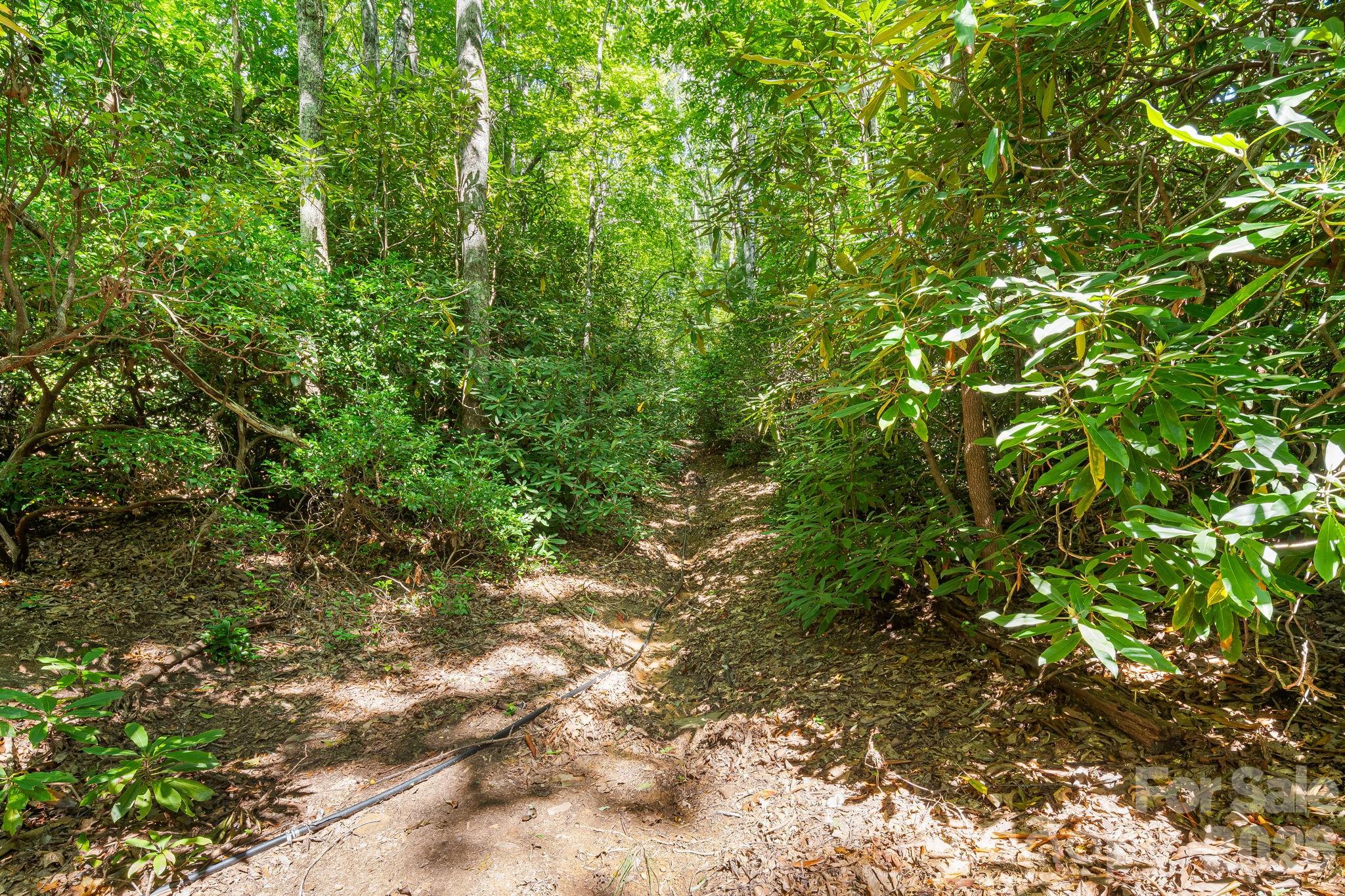 107 Copperhead Cove Property Photo 26