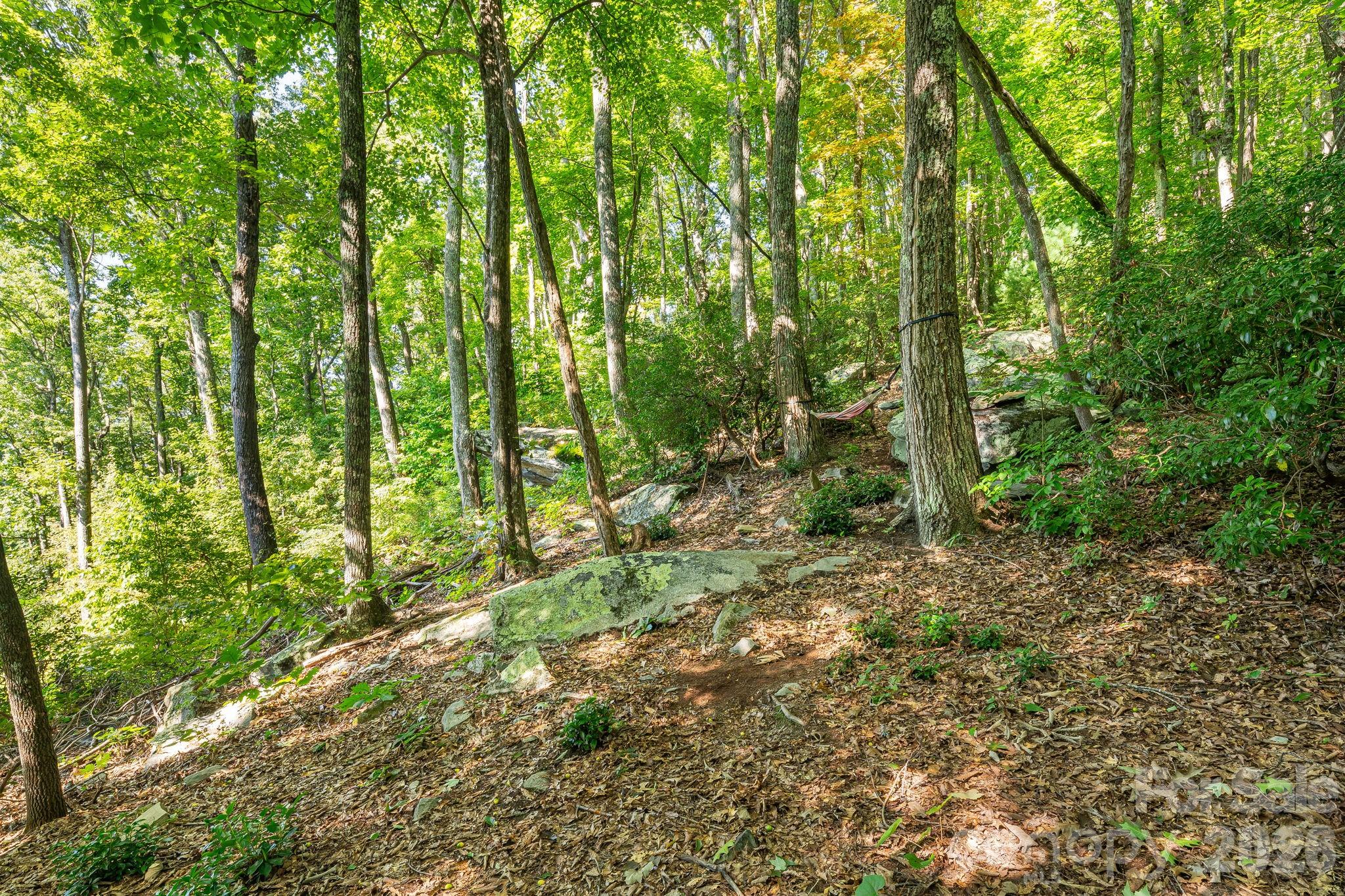 107 Copperhead Cove Property Photo 28
