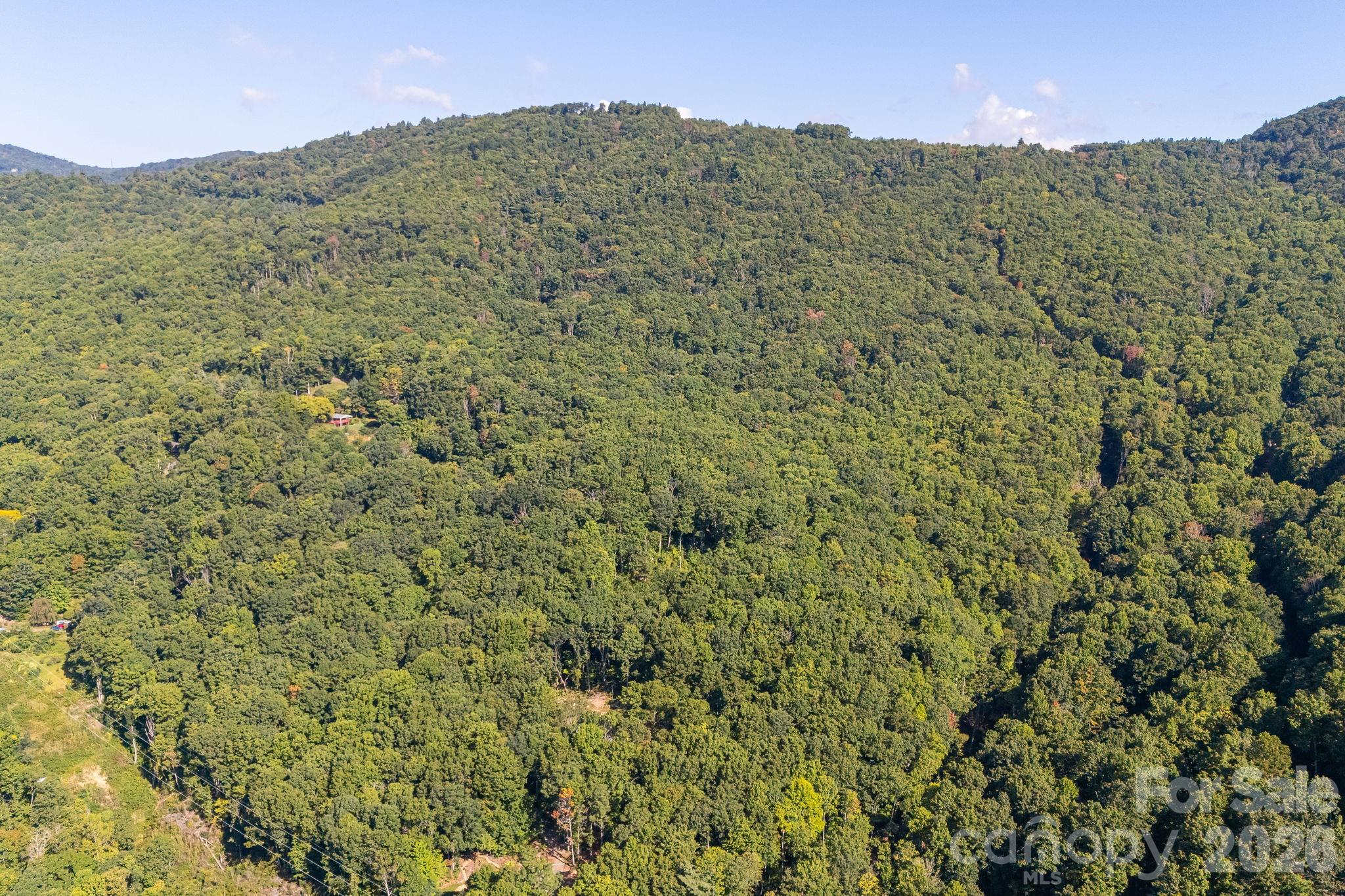 107 Copperhead Cove Property Photo 35