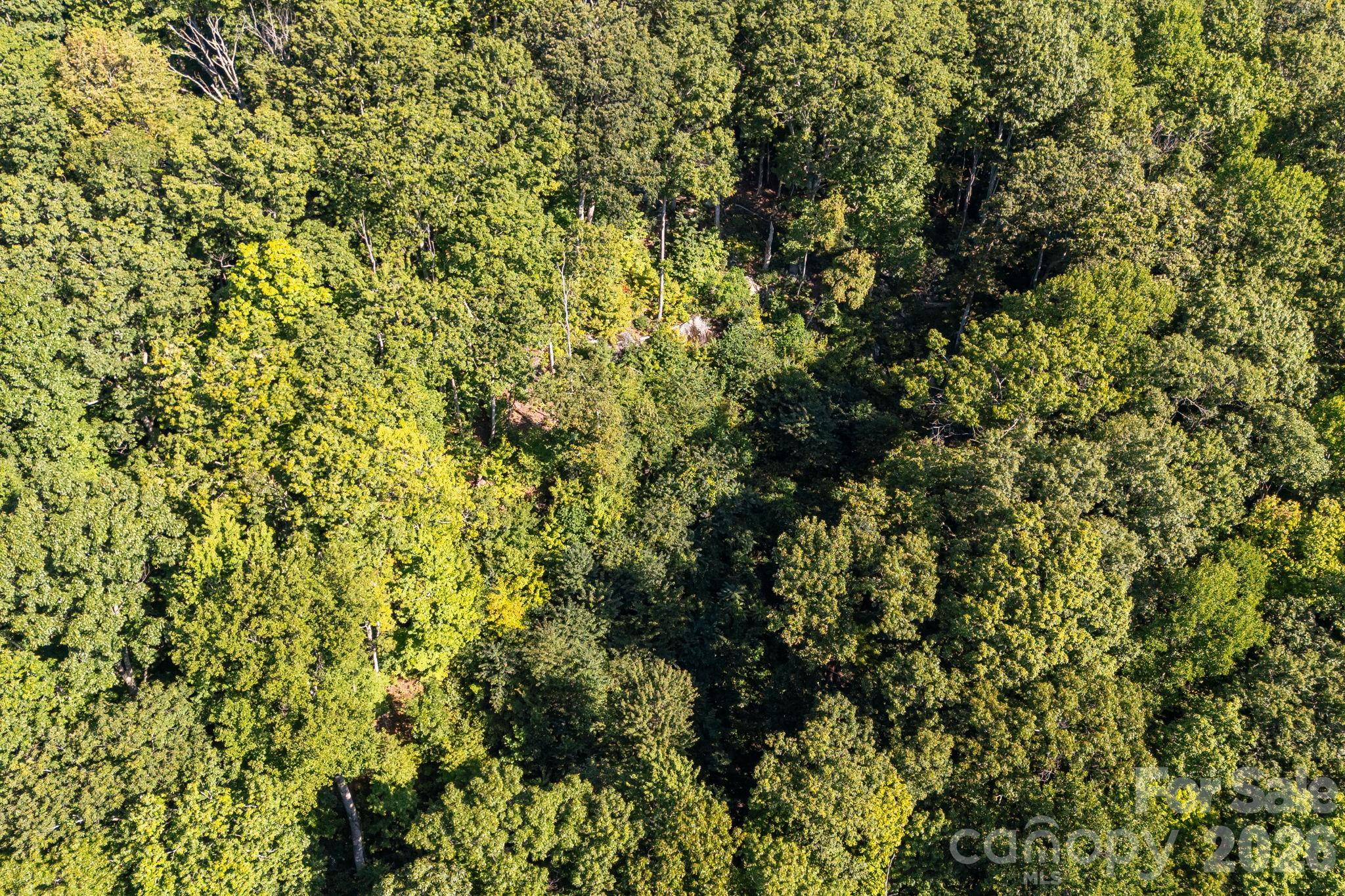 107 Copperhead Cove Property Photo 40