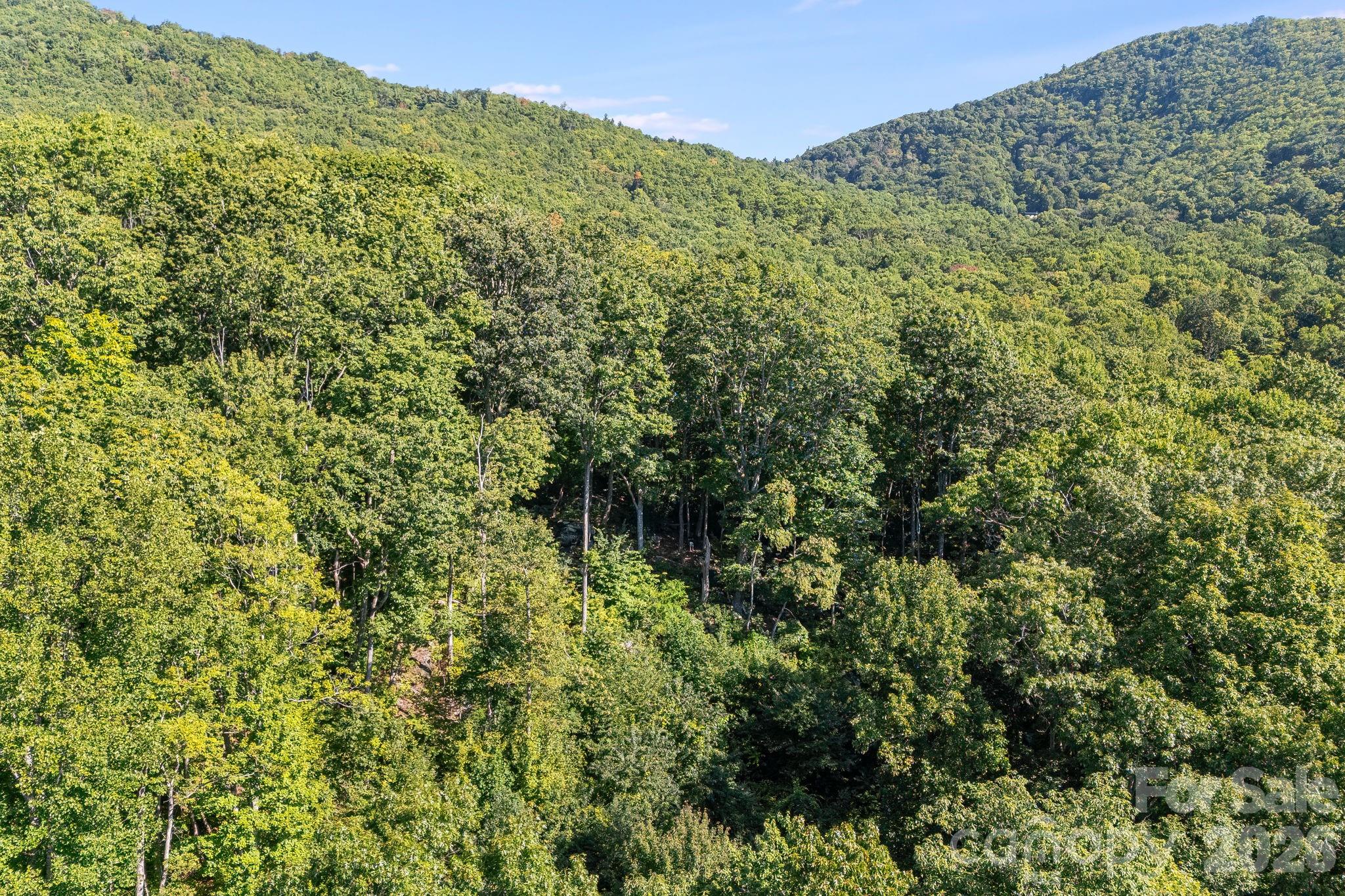 107 Copperhead Cove Property Photo 43