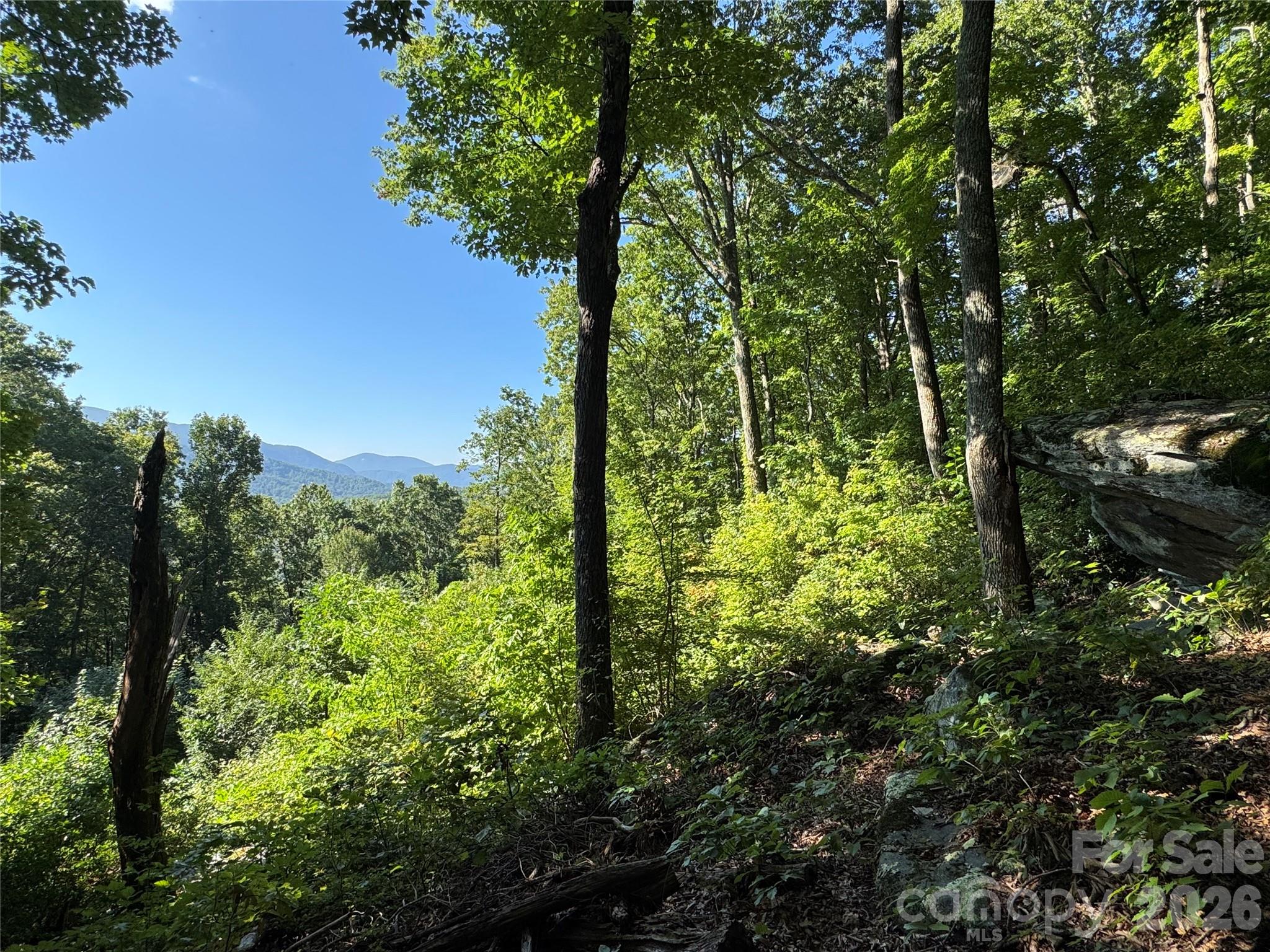 107 Copperhead Cove Property Photo 45