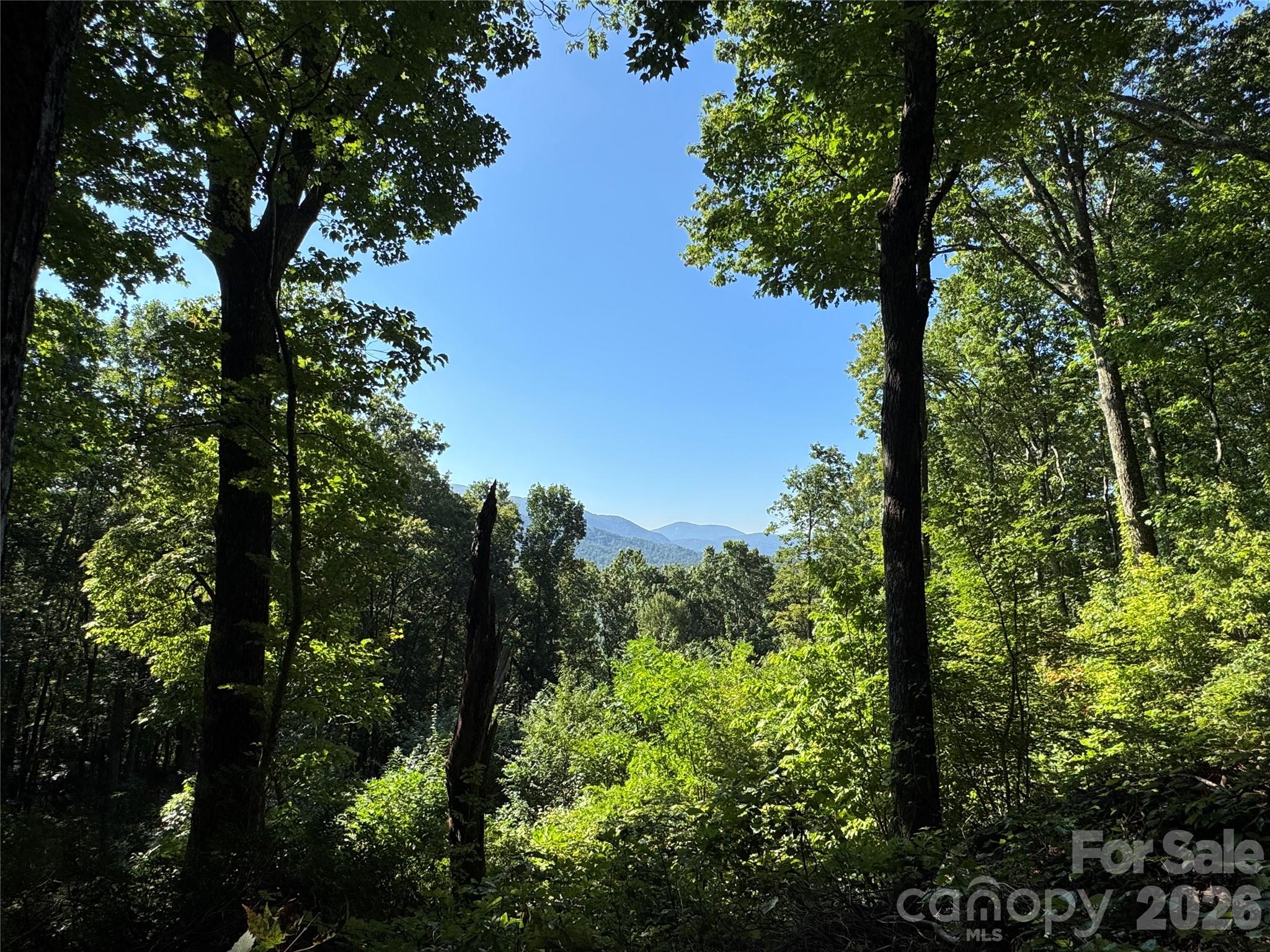 107 Copperhead Cove Property Photo 46