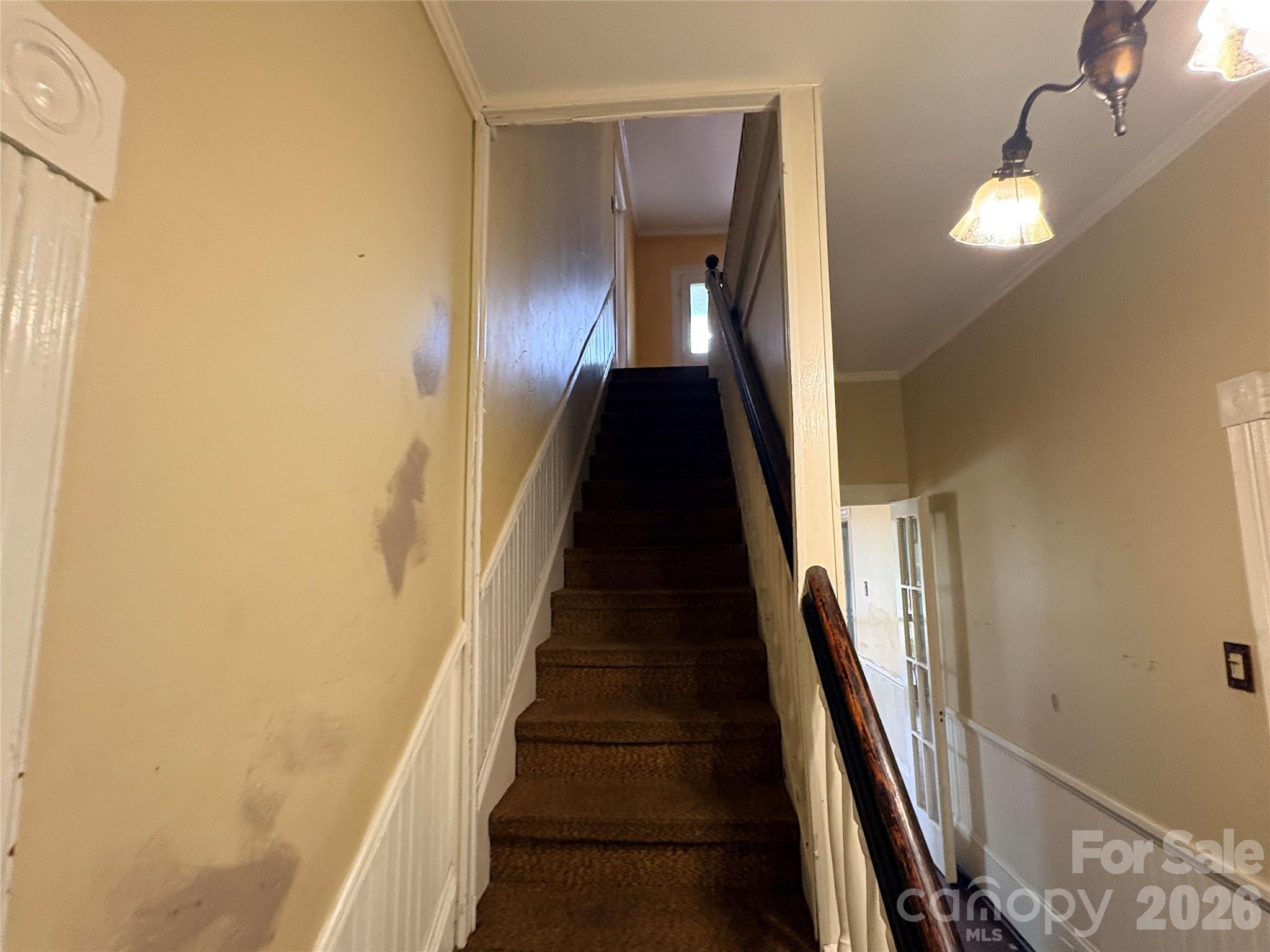 123 York Street Property Photo 13