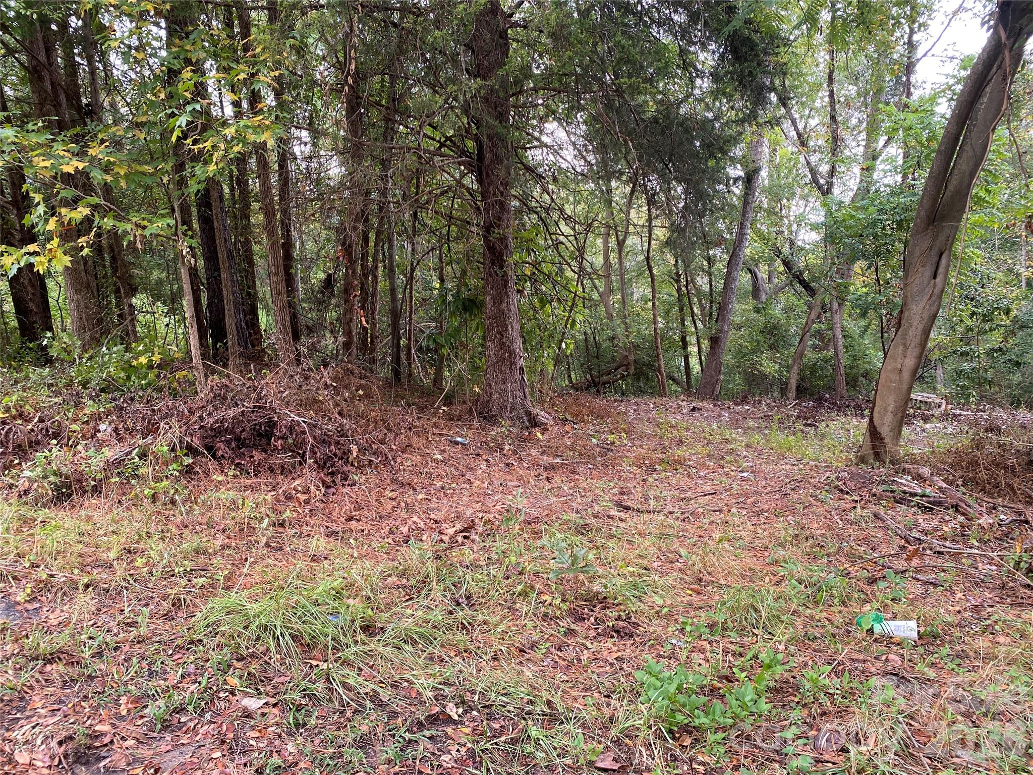 245 Slayton Street Property Photo 3