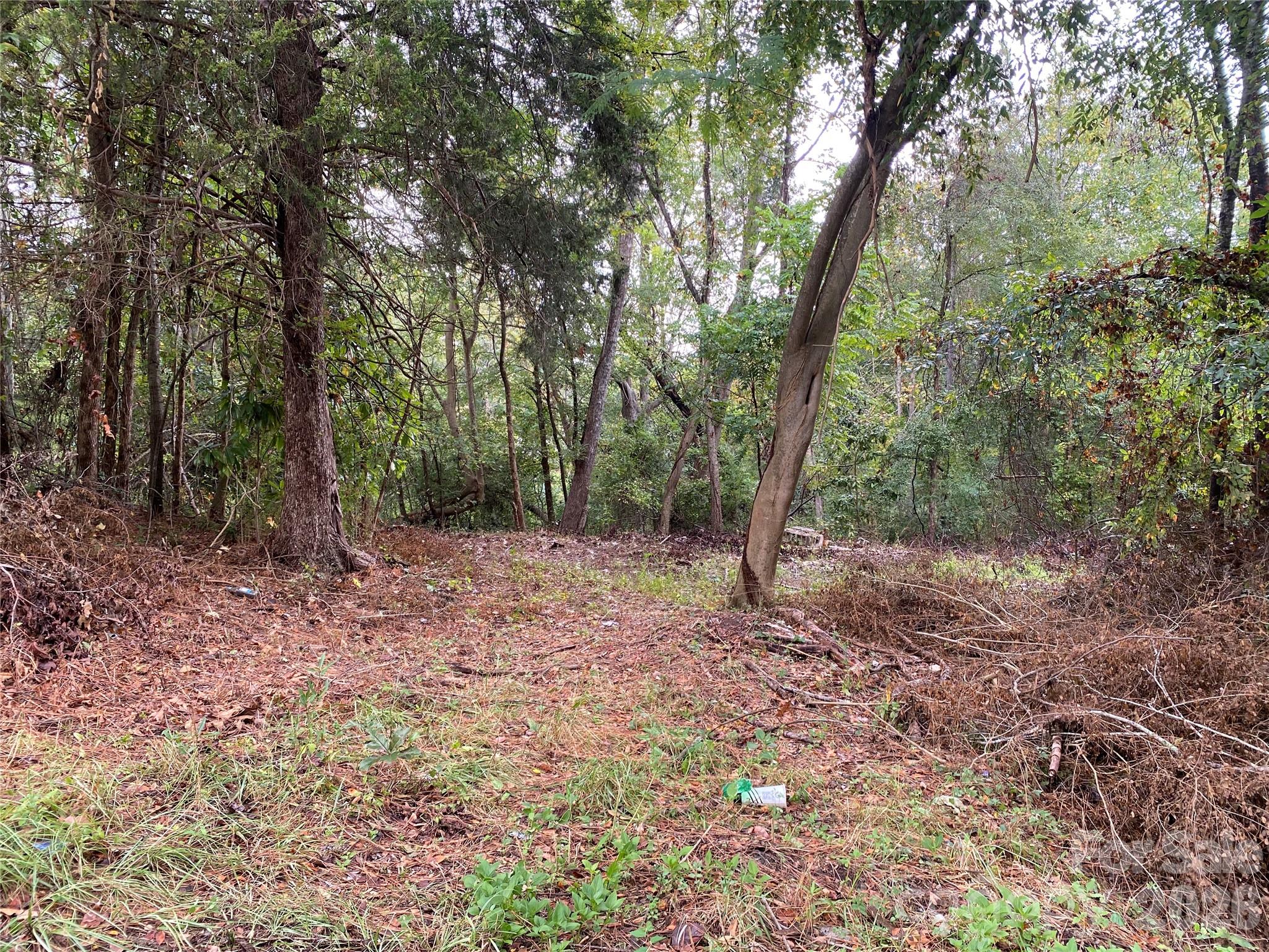 245 Slayton Street Property Photo 4