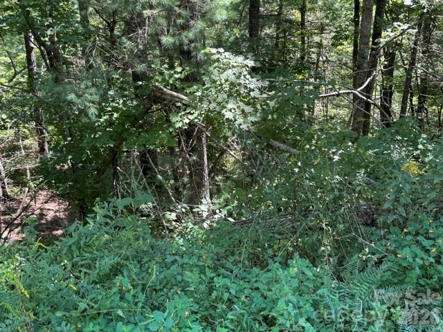 Tbd Jarvis Drive Property Photo 3