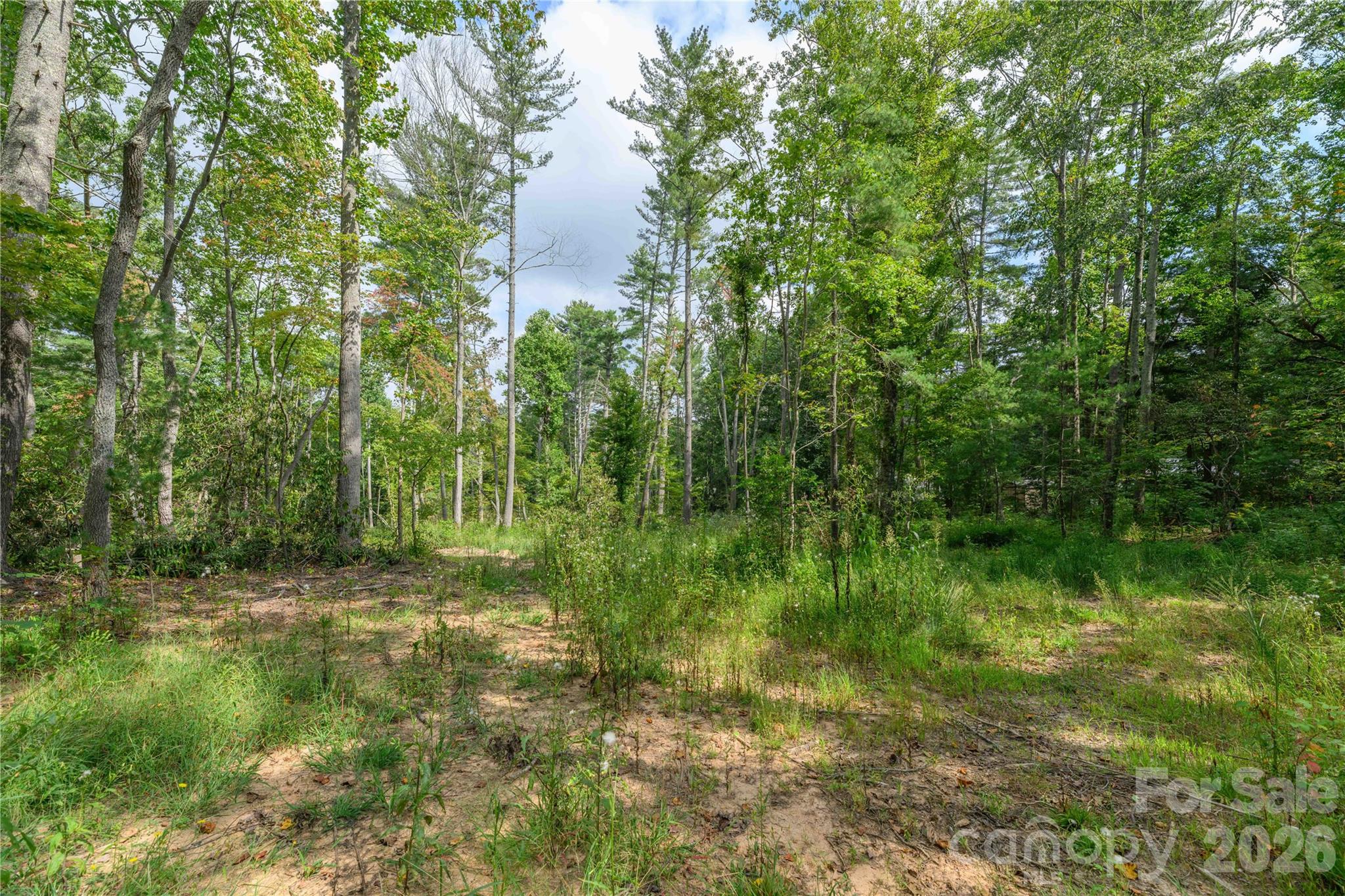 9999 Old Concord Road 2 Property Photo 2