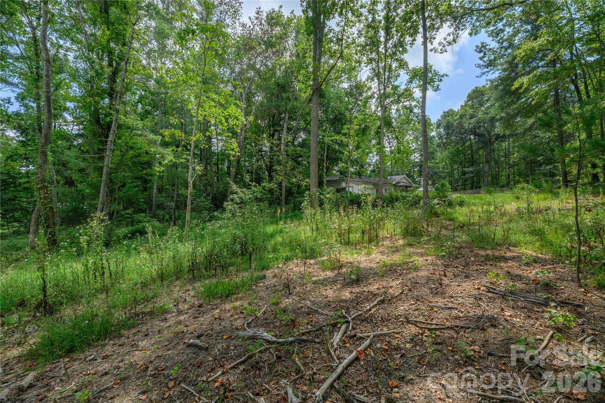 9999 Old Concord Road 2 Property Photo 3