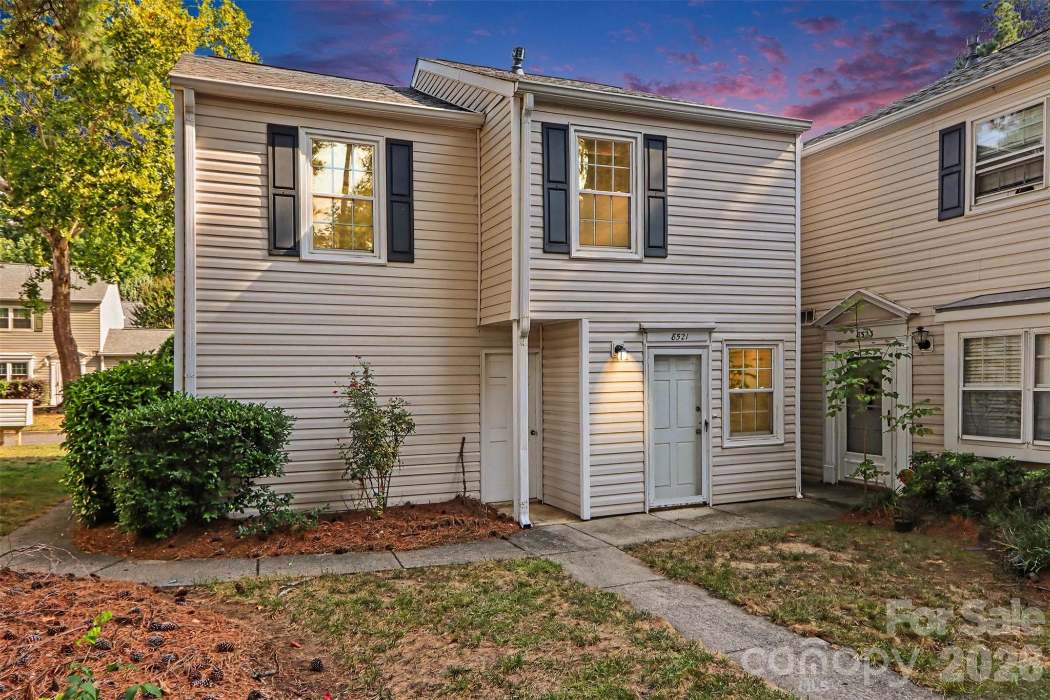 8521 Castle Pine Court Property Photo 1