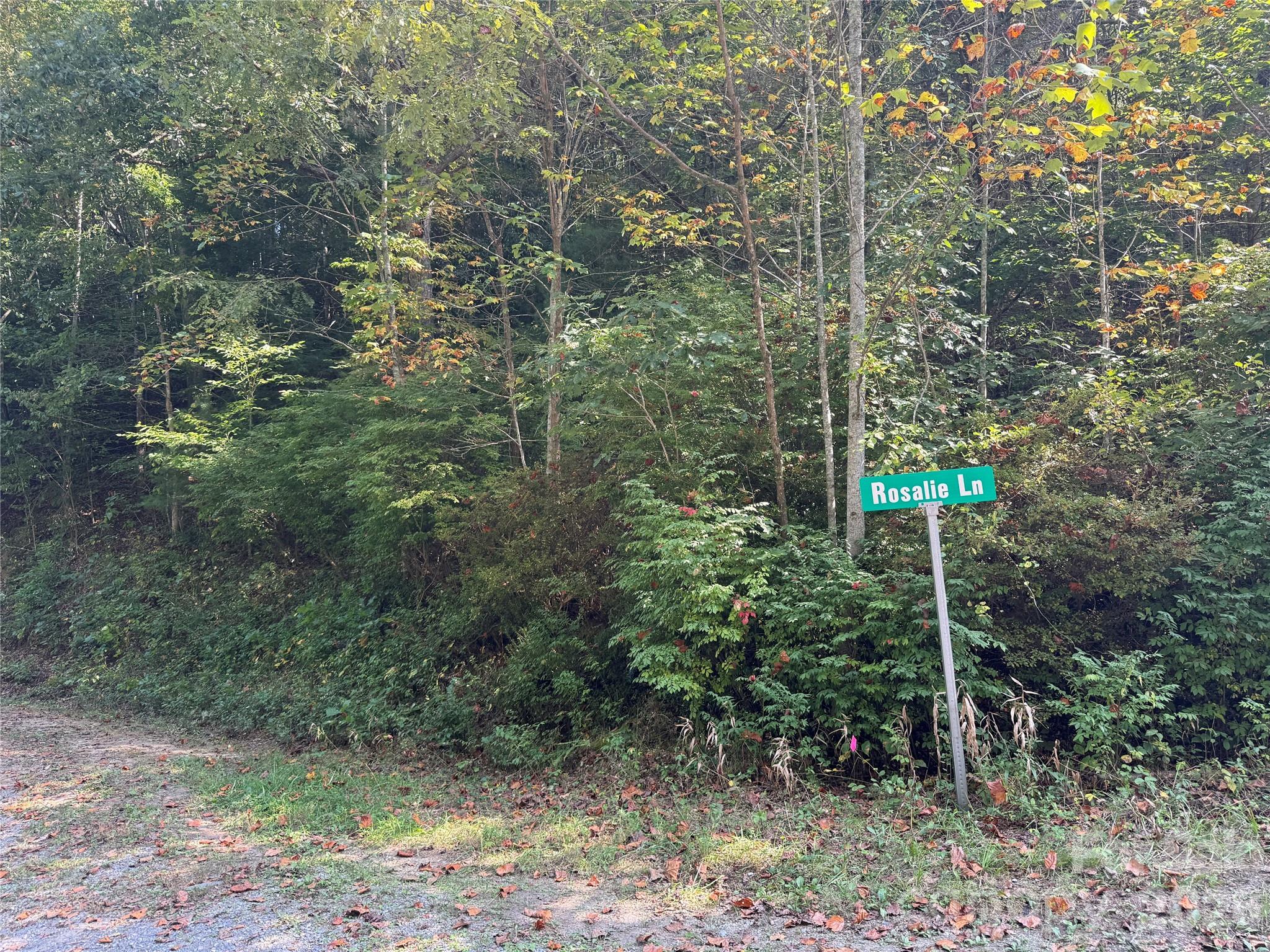 000 Bobcat Road Property Photo 3