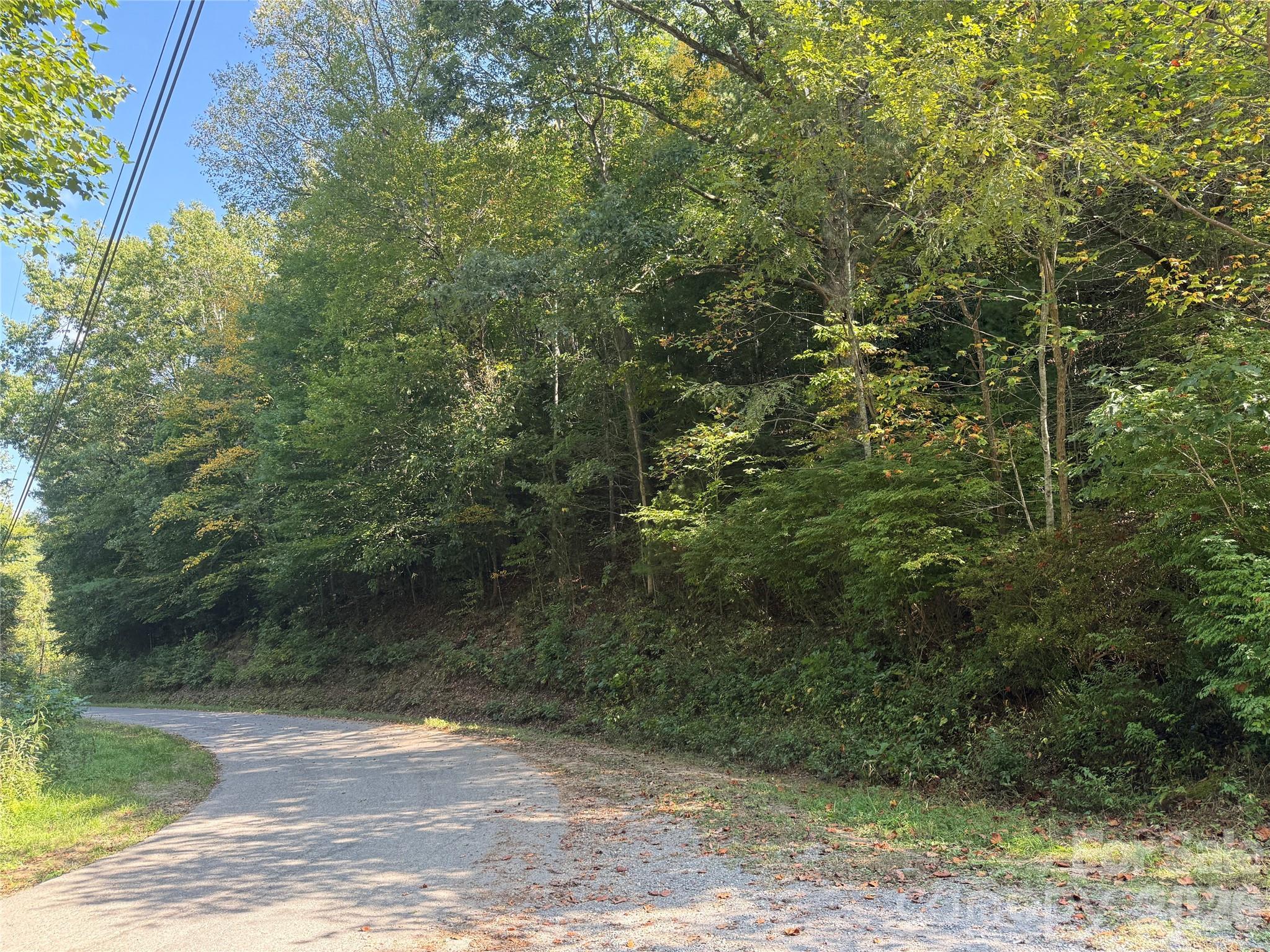 000 Bobcat Road Property Photo 4