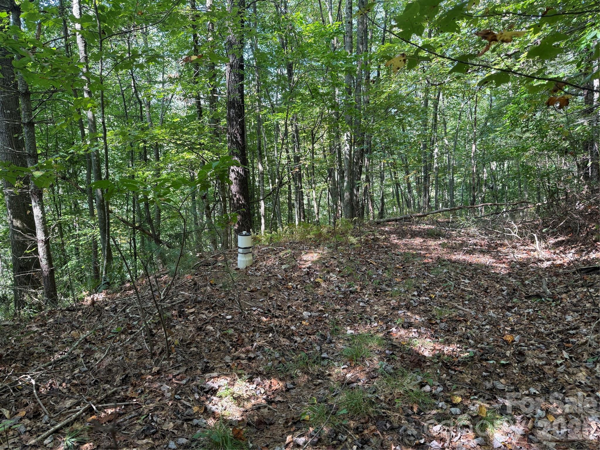 000 Bobcat Road Property Photo 8