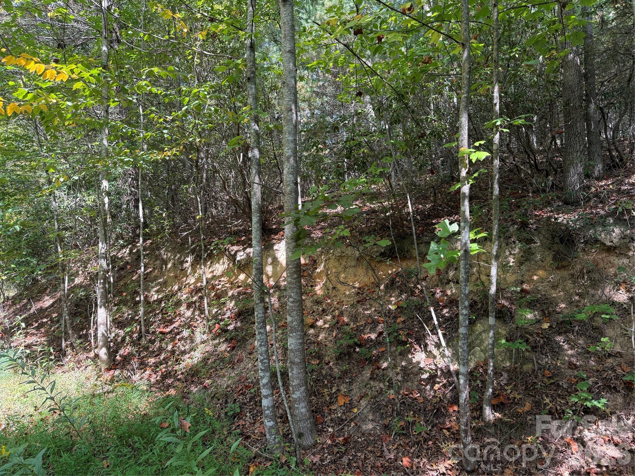 000 Bobcat Road Property Photo 10