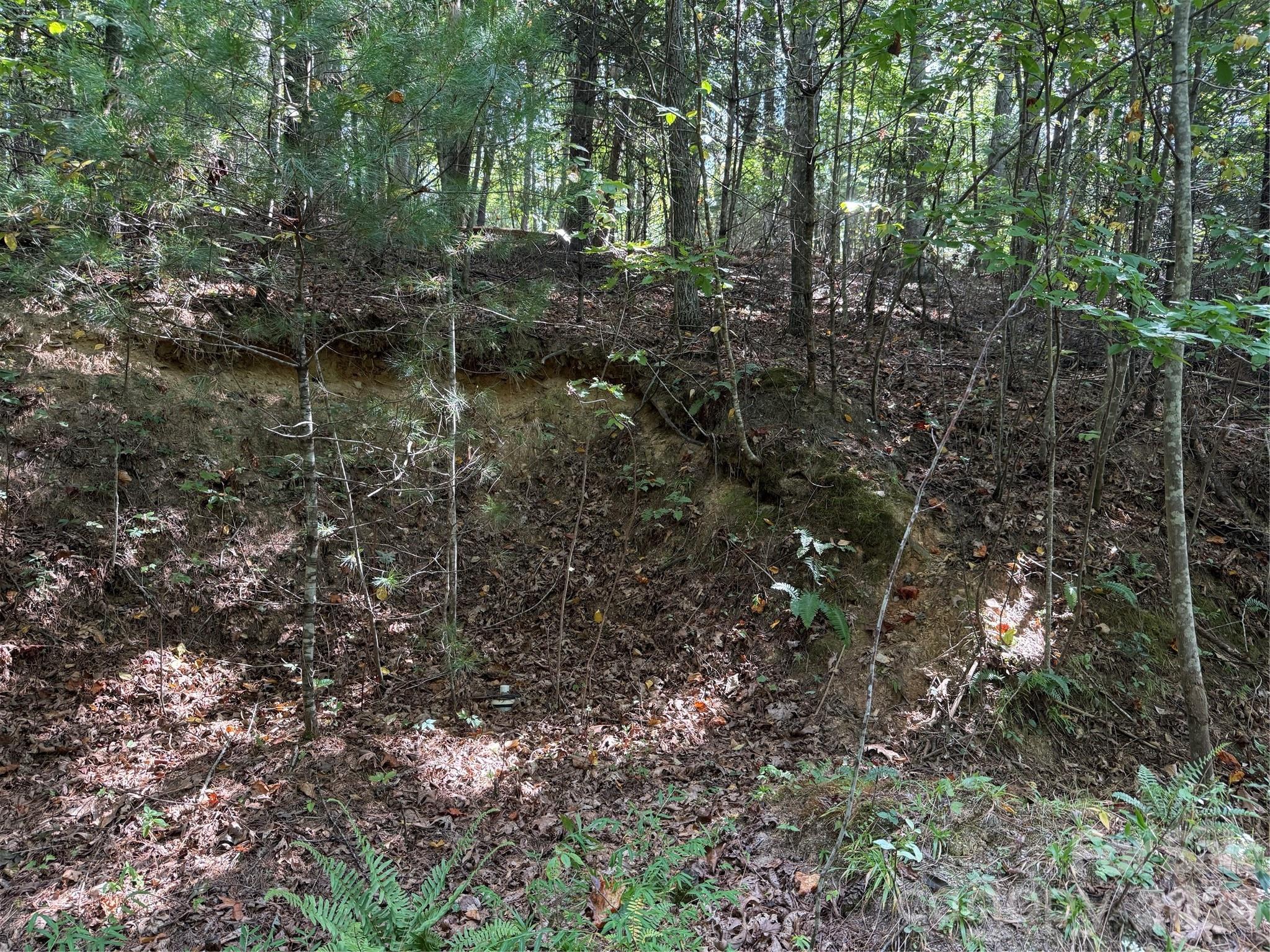 000 Bobcat Road Property Photo 11