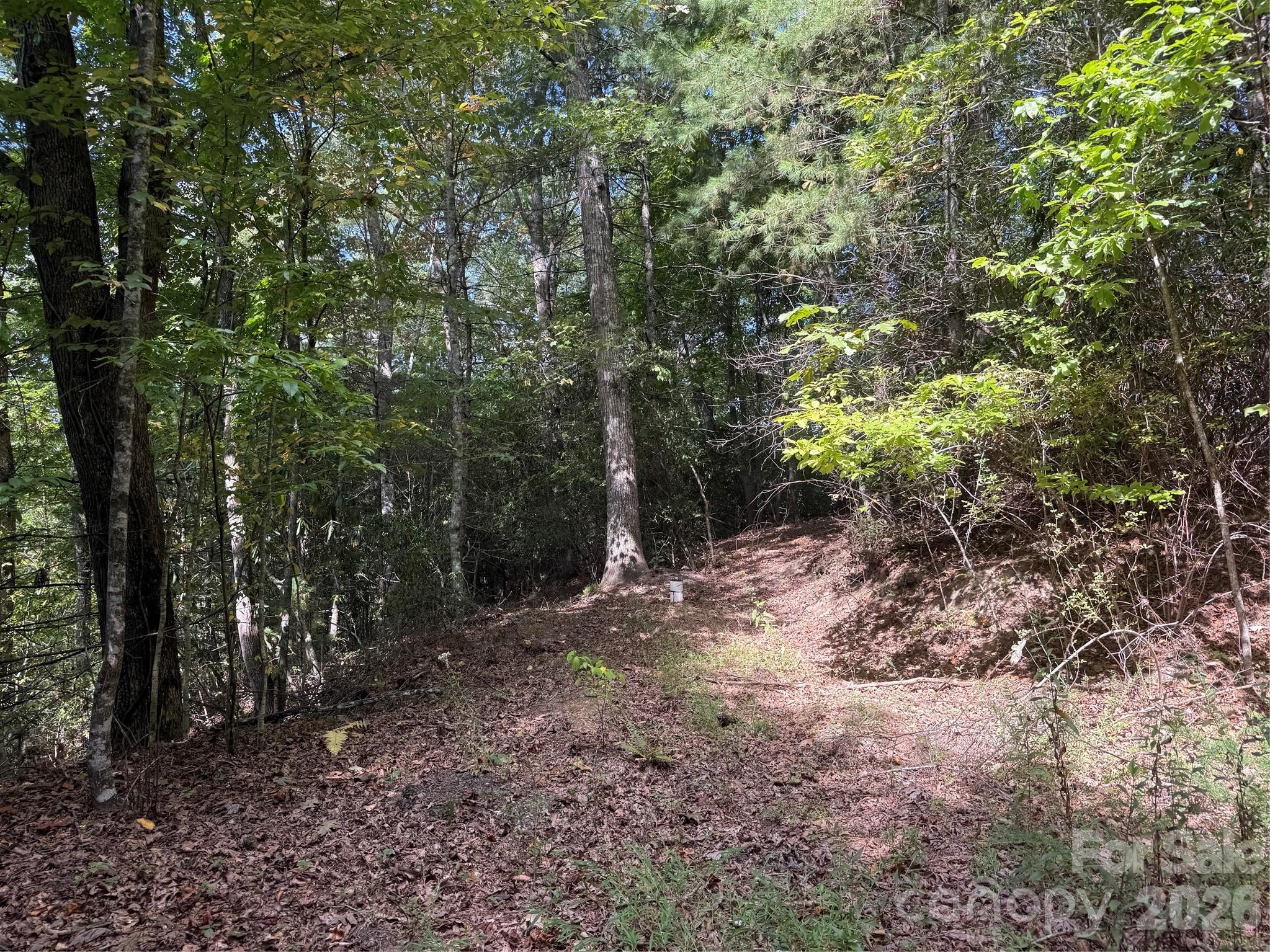 000 Bobcat Road Property Photo 12