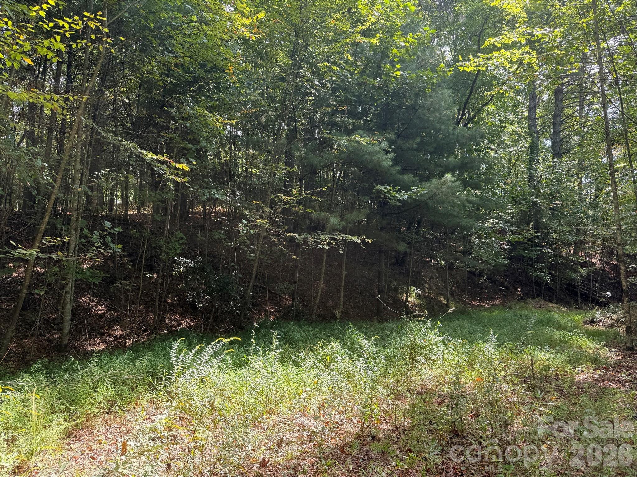 000 Bobcat Road Property Photo 13