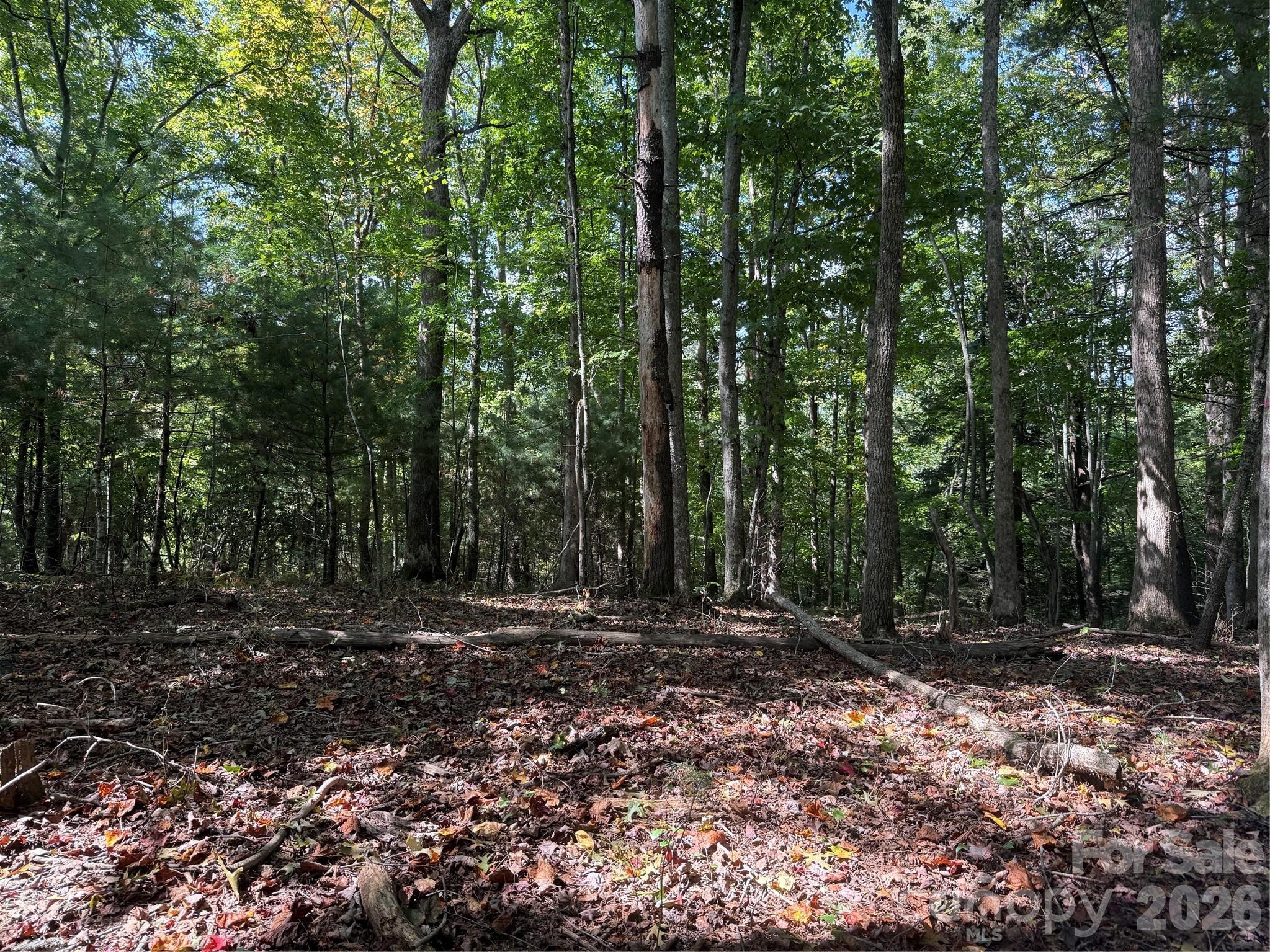 000 Bobcat Road Property Photo 14