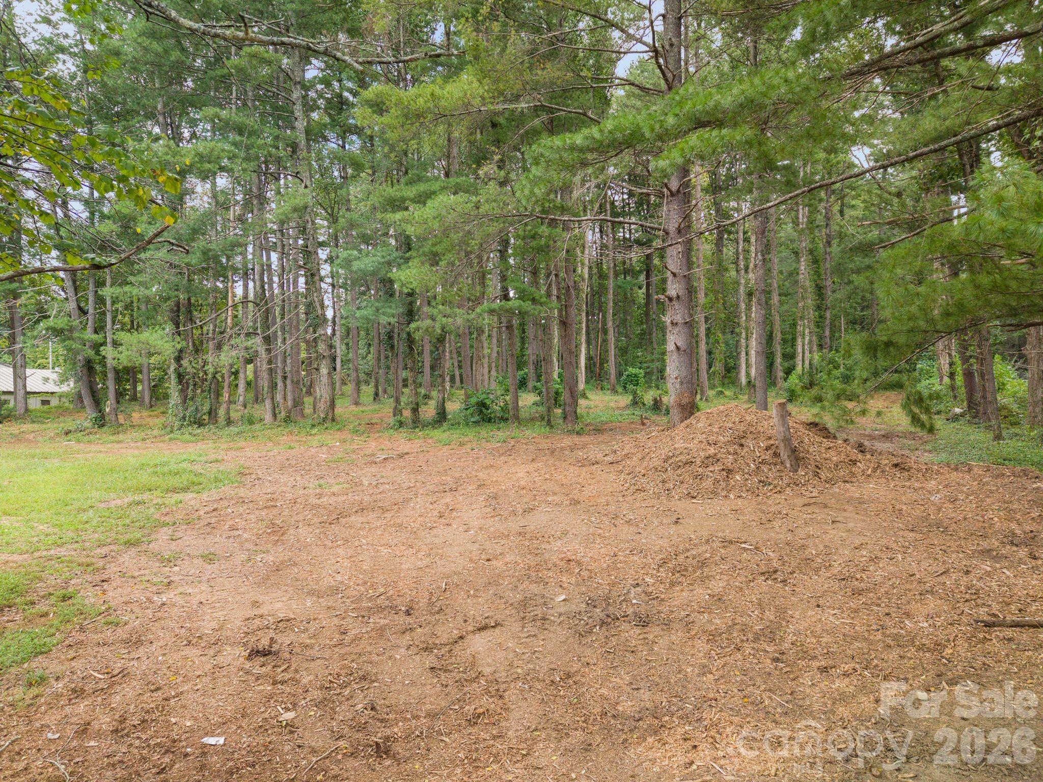 1456 Sweeten Creek Road Property Photo 9