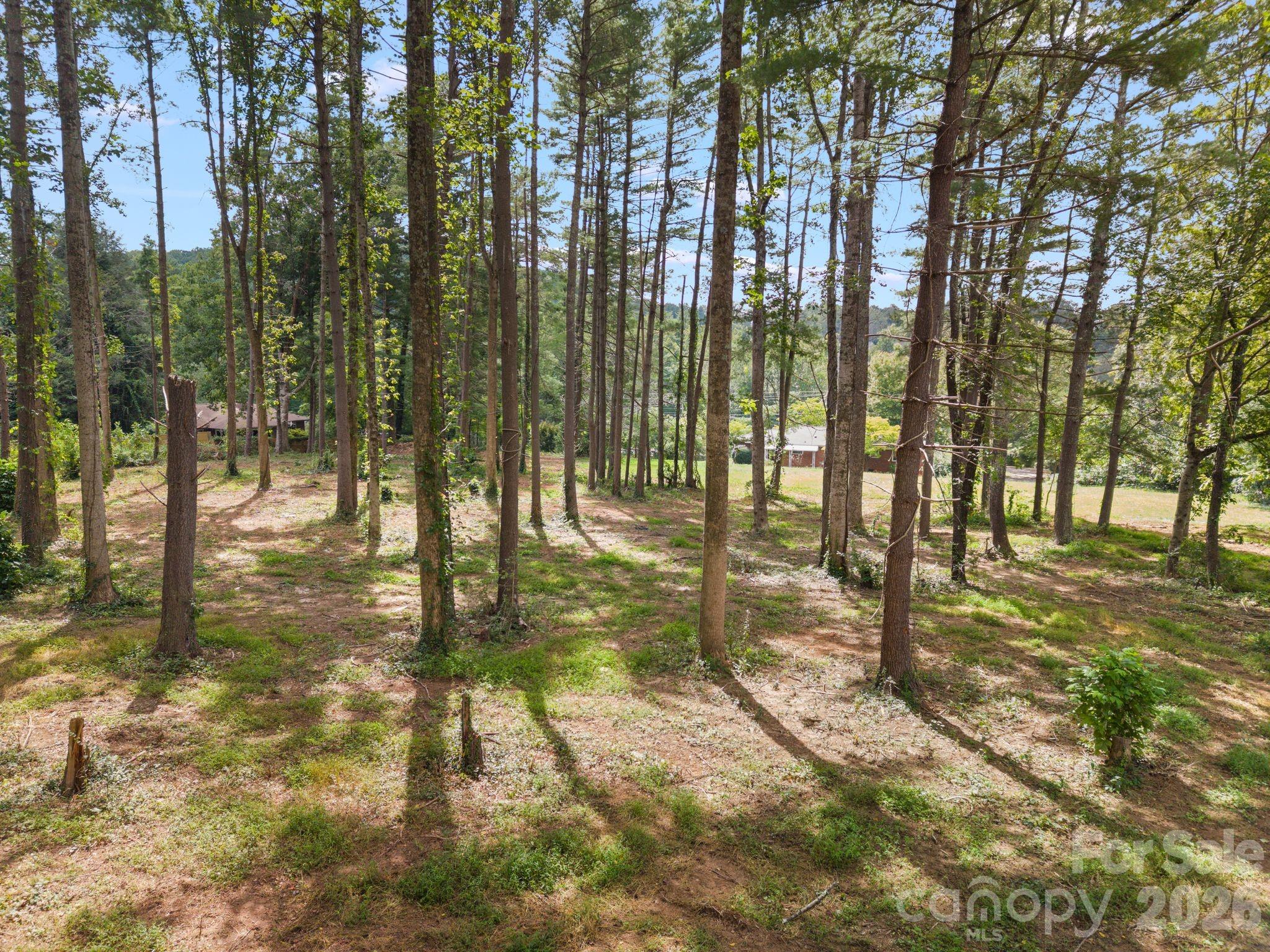 1452 Sweeten Creek Road Property Photo 5