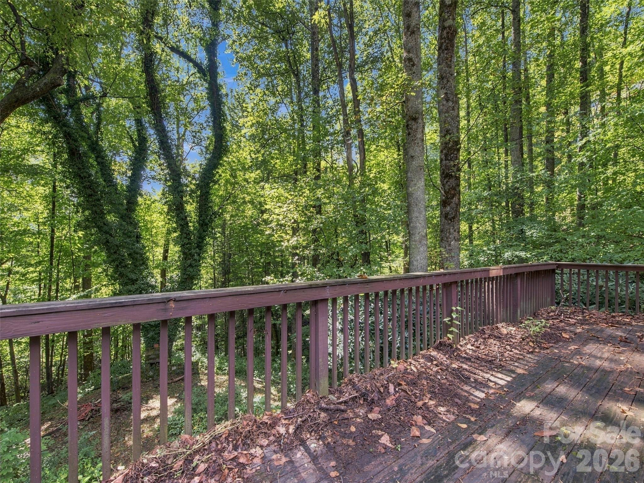 151 Tiger Lily Lane Property Photo 6