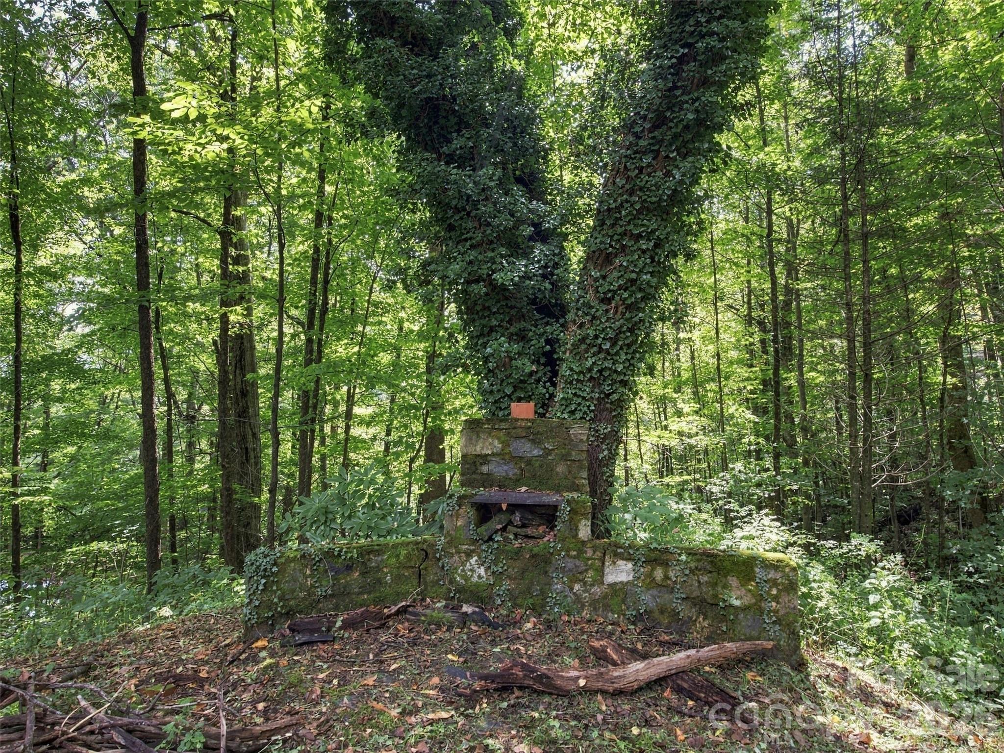 151 Tiger Lily Lane Property Photo 7