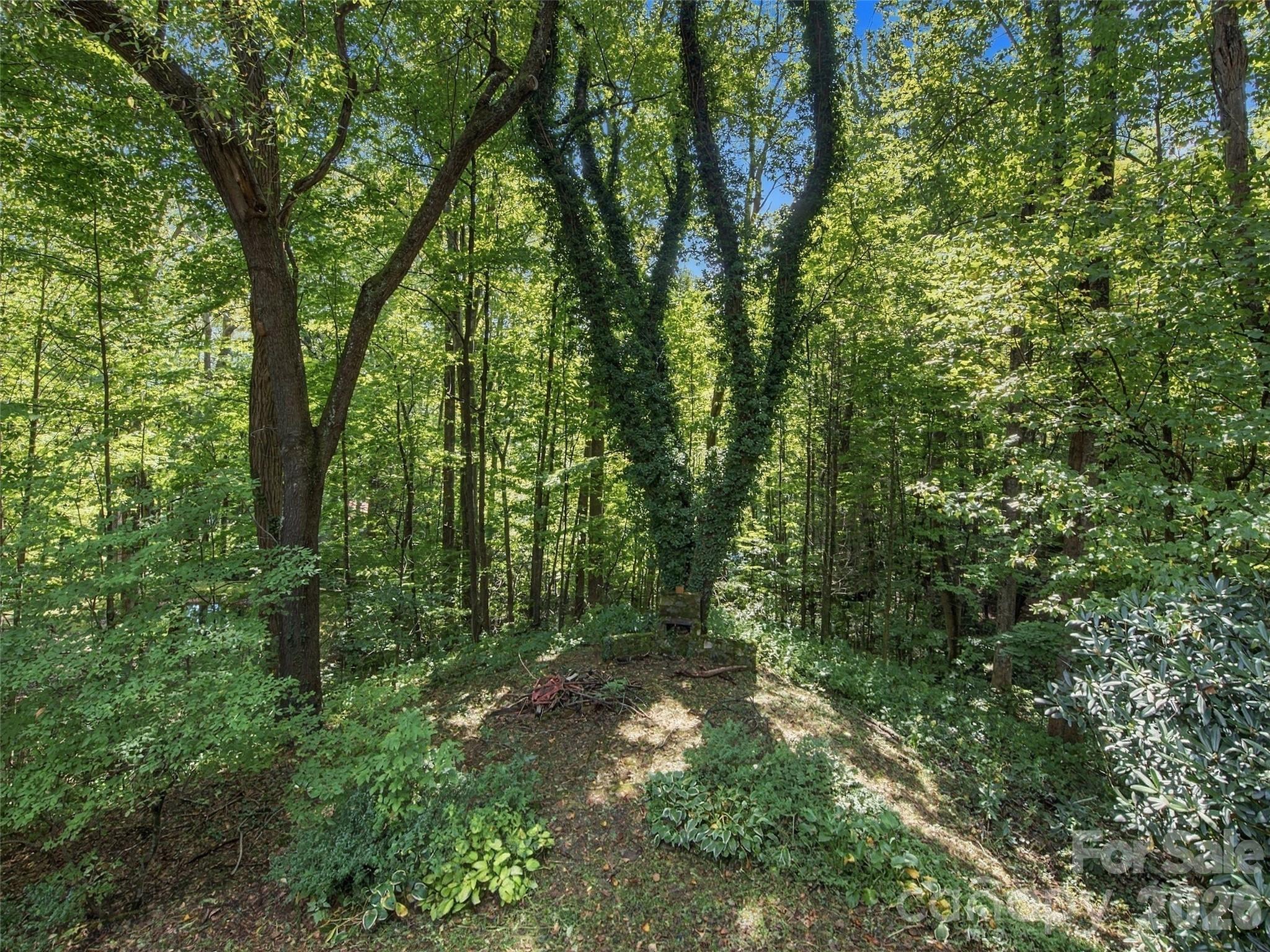 151 Tiger Lily Lane Property Photo 8