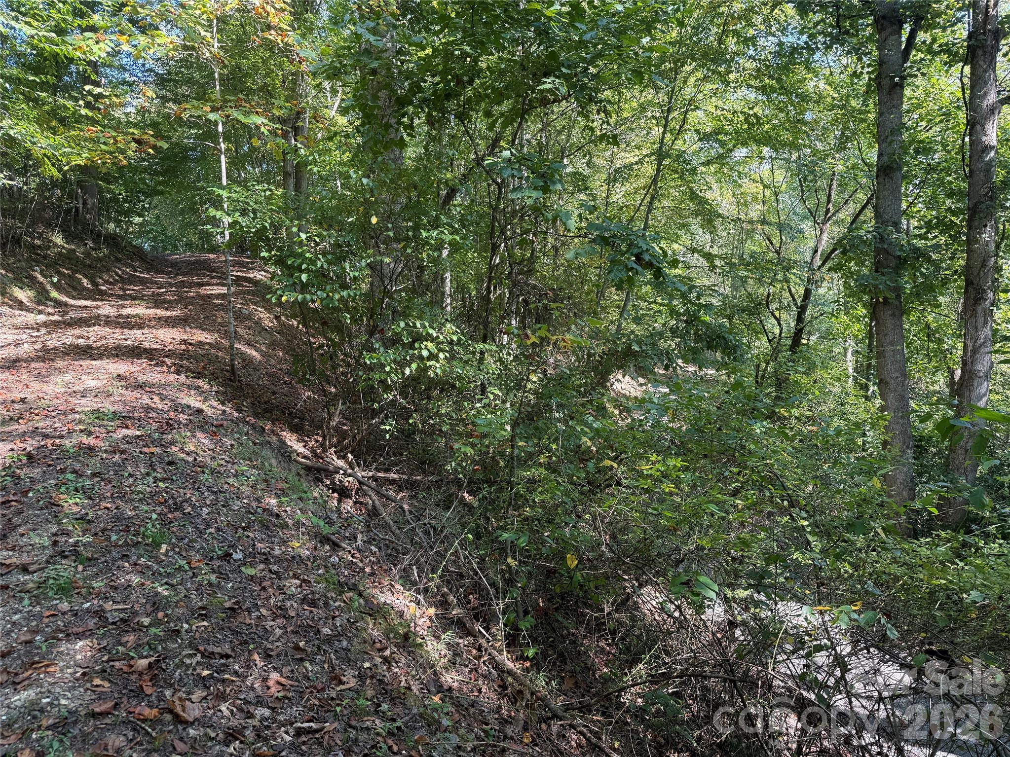 000c Rosalie Lane Property Photo 1