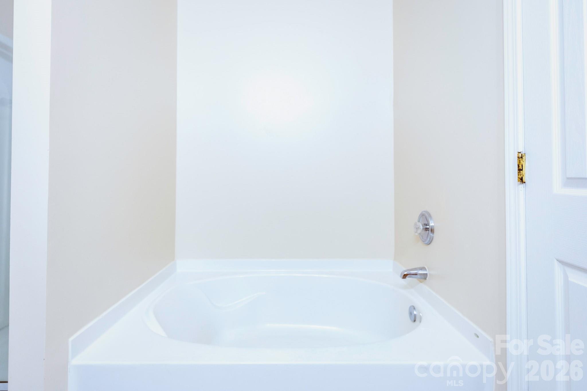 13825 Purple Bloom Lane Property Photo 13