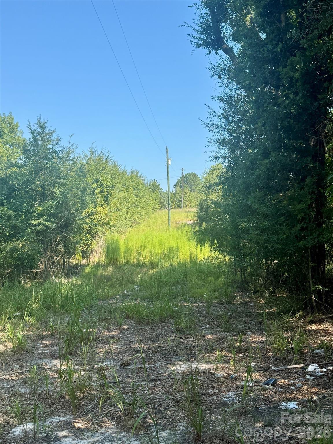 0000 Newman Lane Property Photo 1