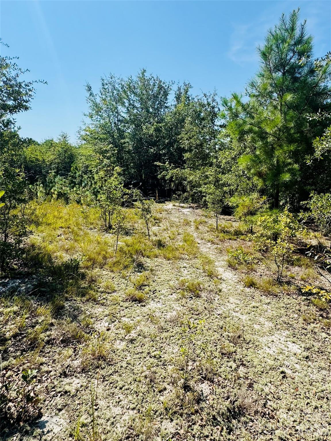 0000 Newman Lane Property Photo 8