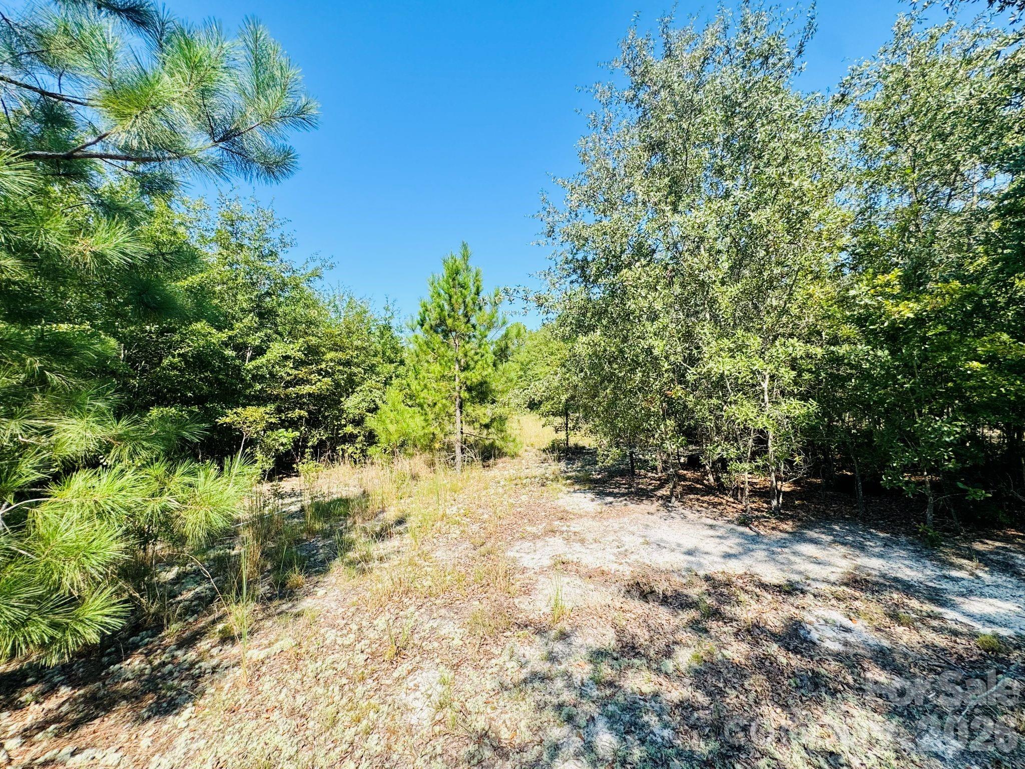 0000 Newman Lane Property Photo 10