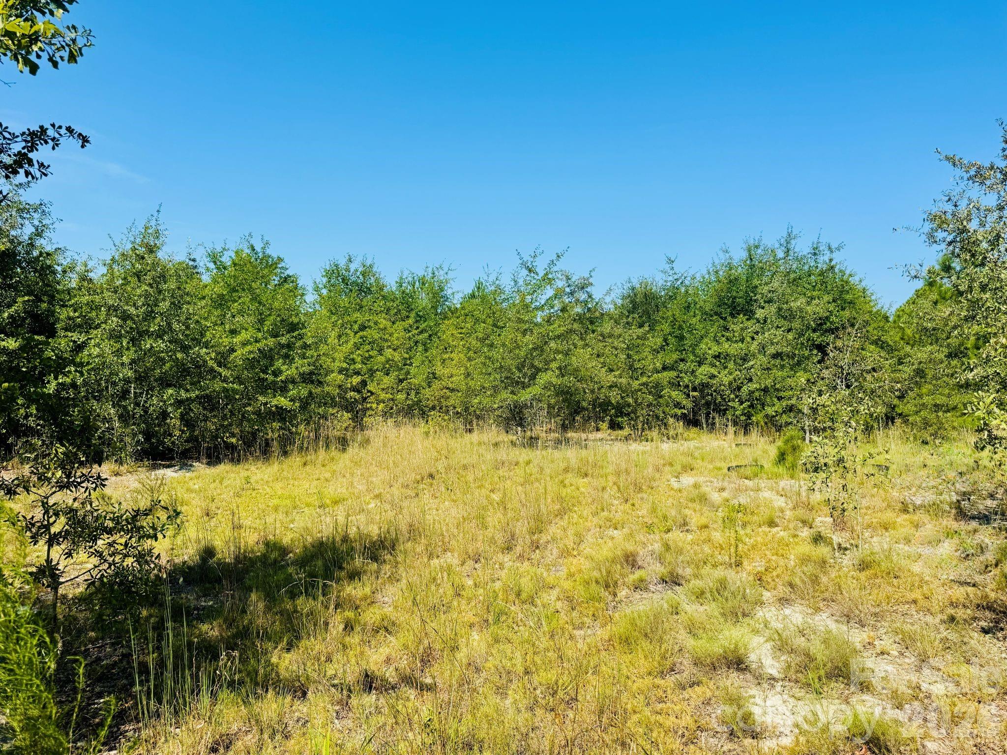 0000 Newman Lane Property Photo 11