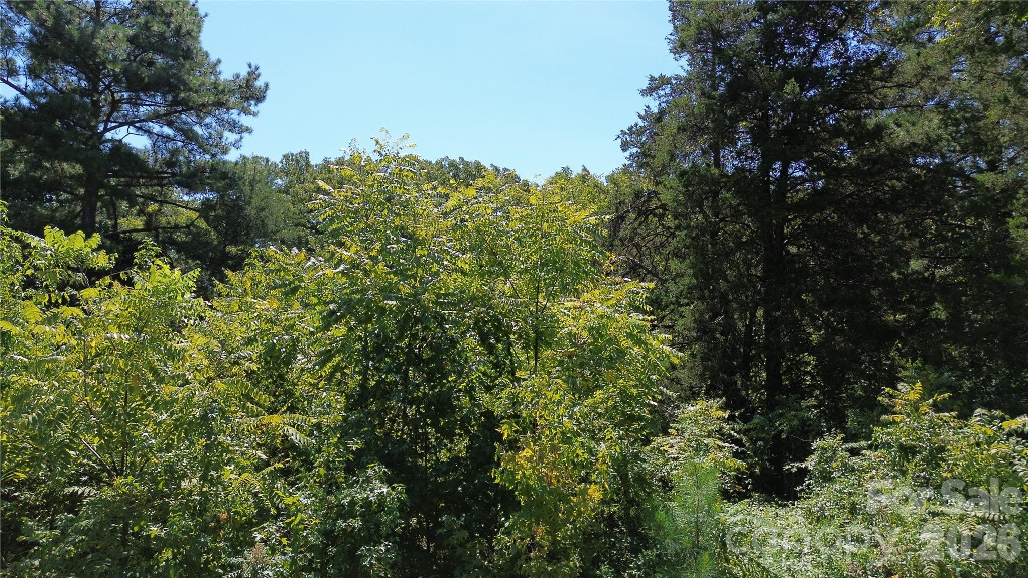 1466 King Road Property Photo 33
