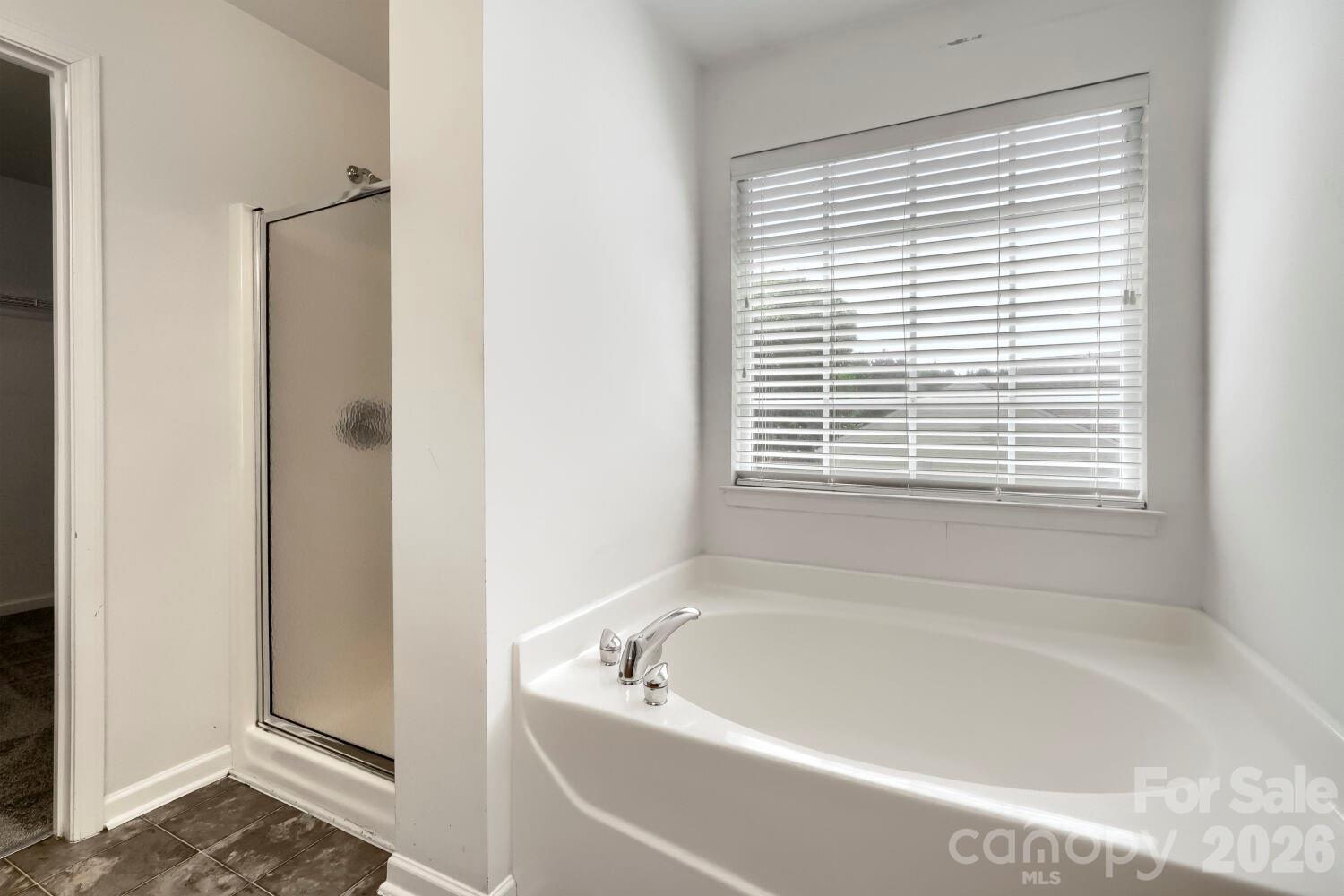 3102 Broad Plum Lane Property Photo 13