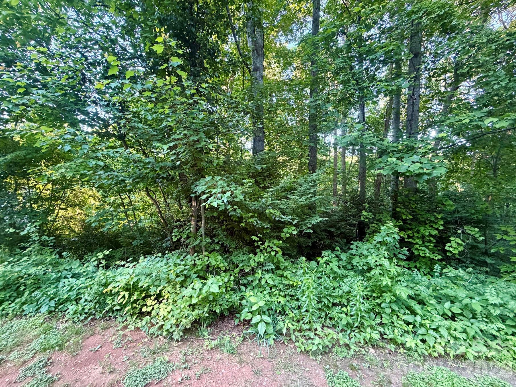 1221 Shirebourn None Property Photo 1