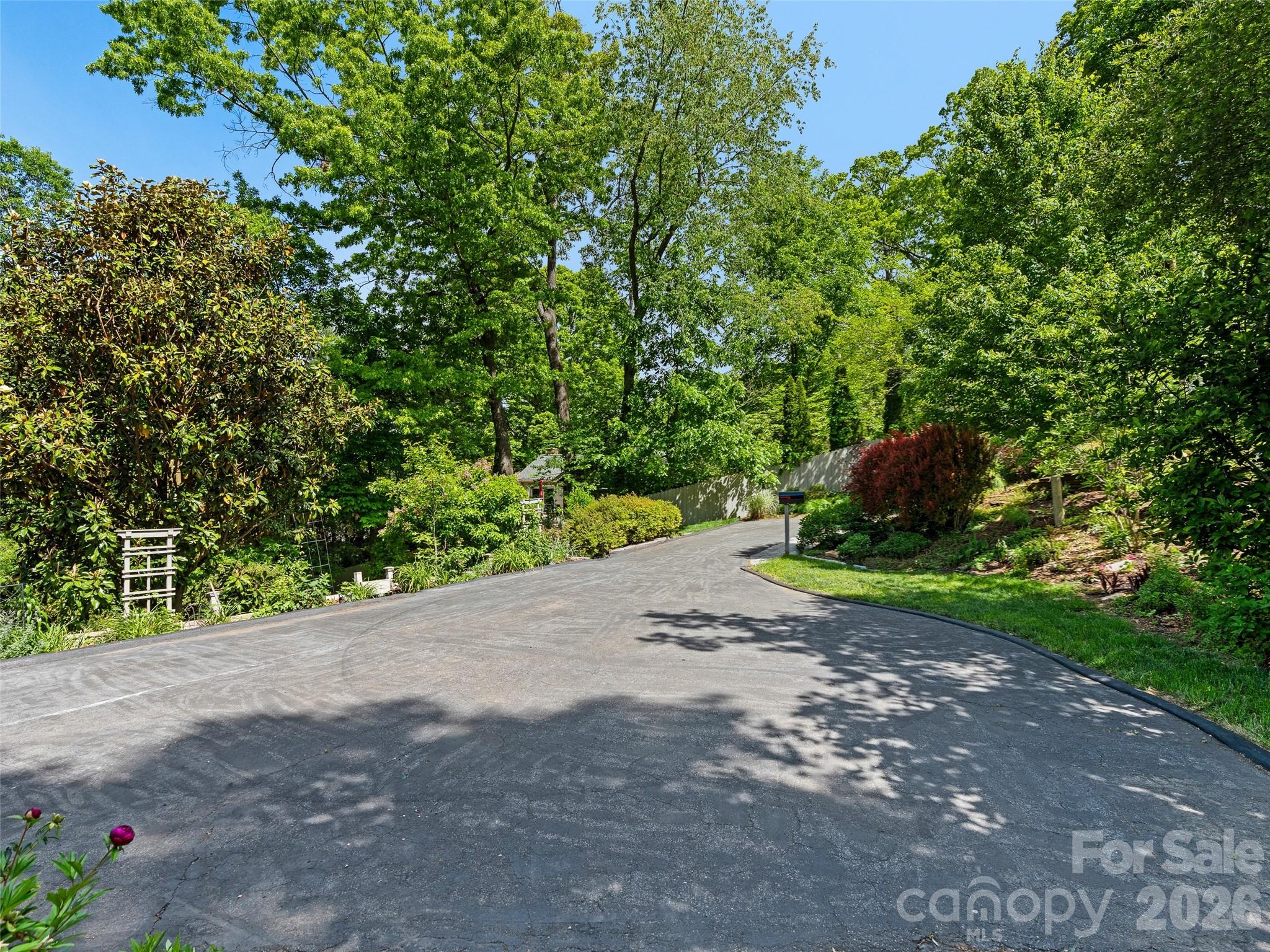 15 Baird Alley Property Photo 17