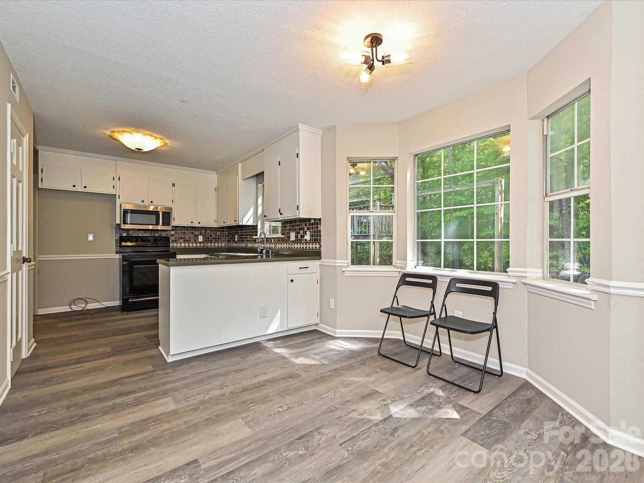 11200 Walking Horse Lane Property Photo 10